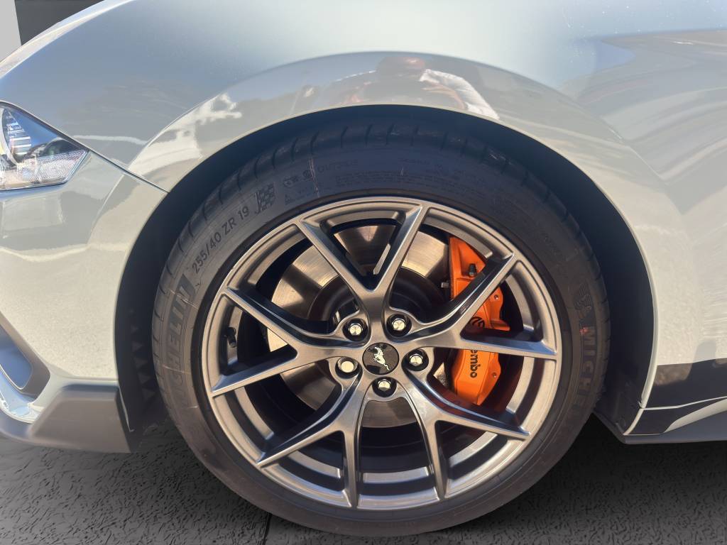 FORD Mustang Fastback 5.0 V8 Mach 1-image-15
