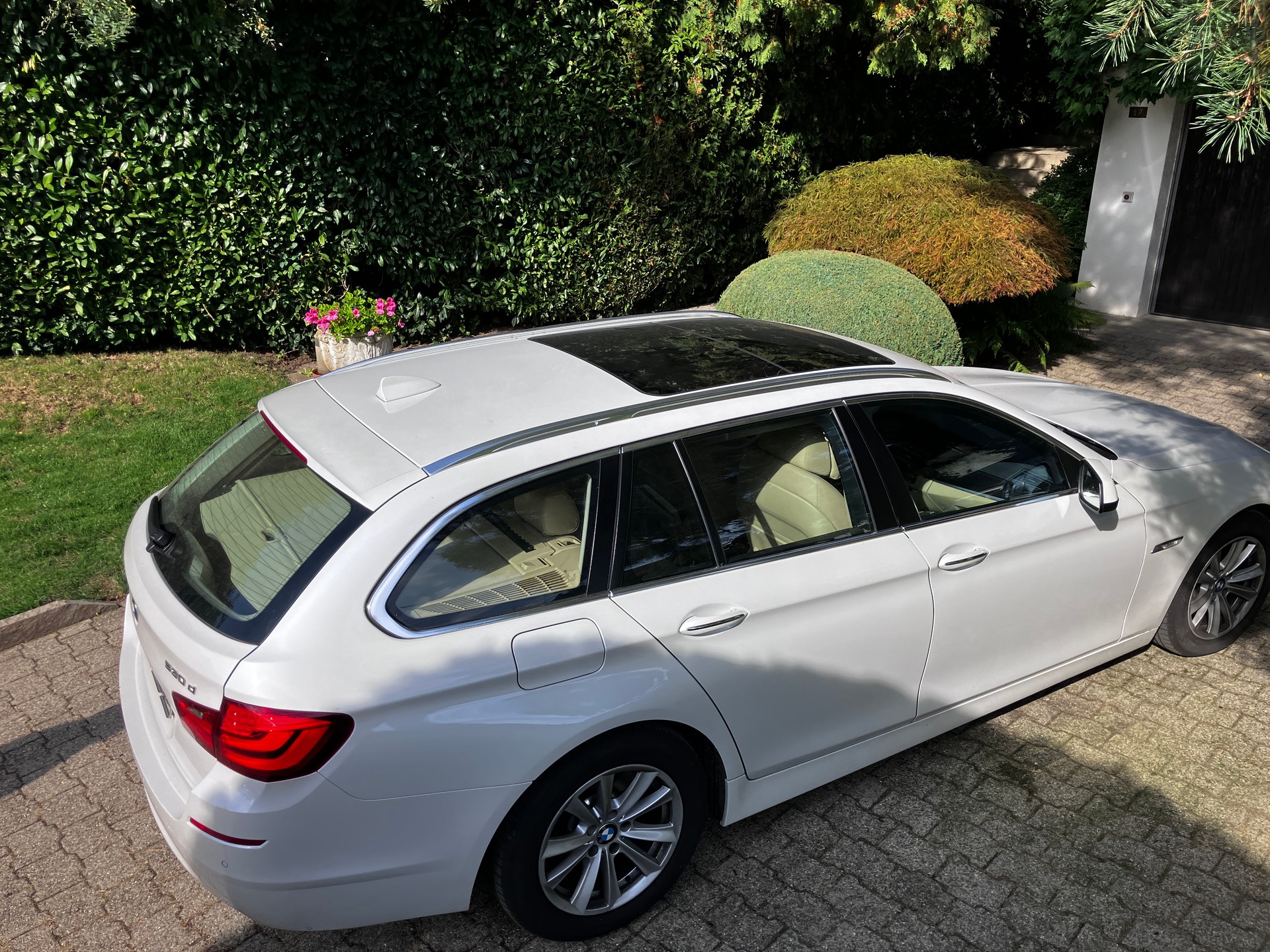 BMW 530d xDrive-image-4