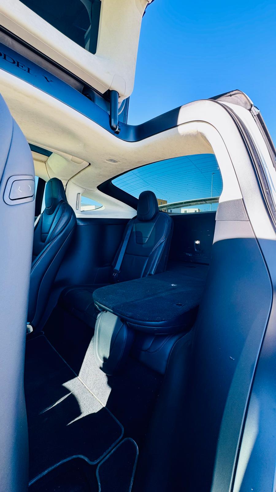 TESLA Model X 100 D-image-4