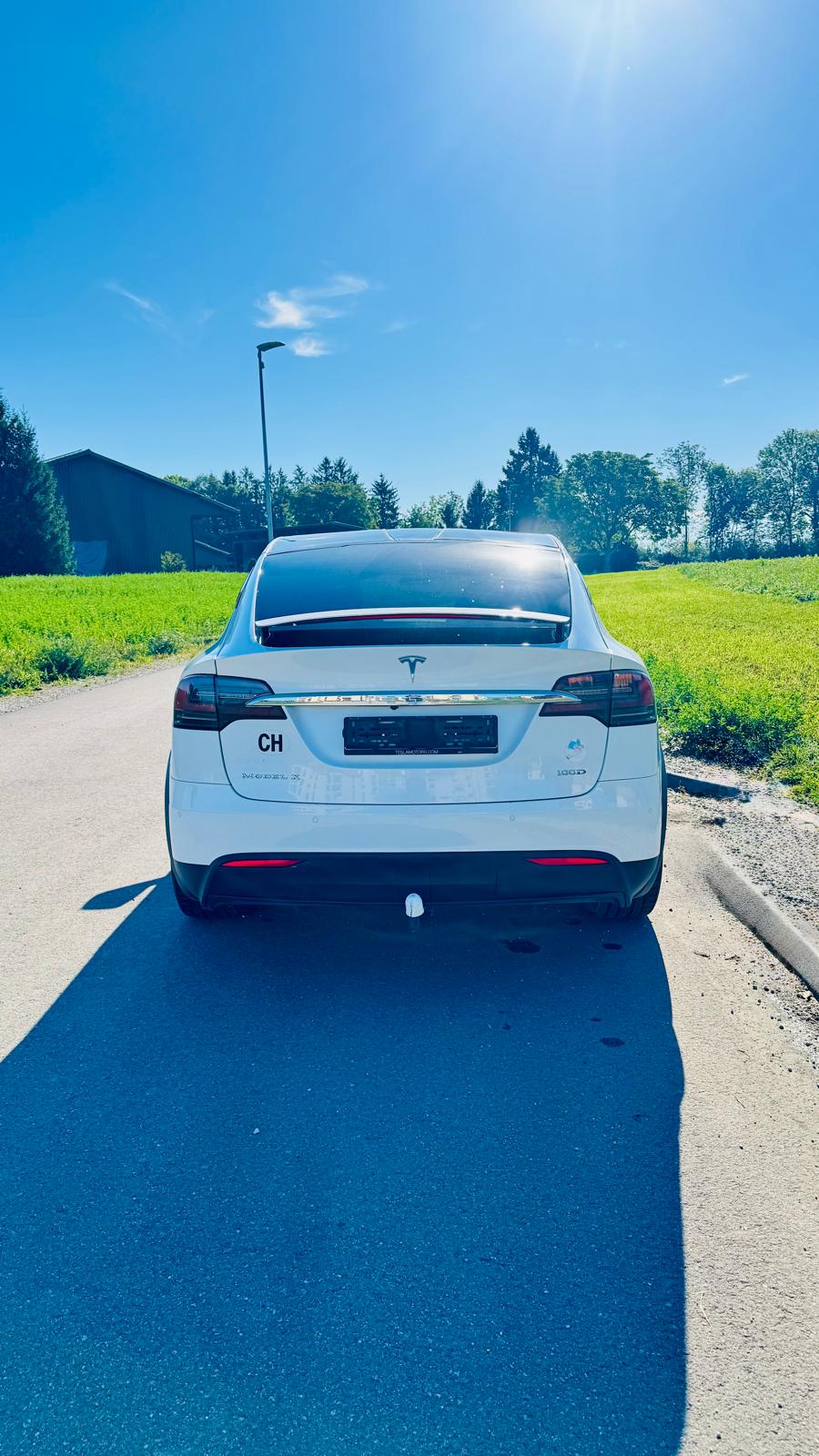 TESLA Model X 100 D-image-3