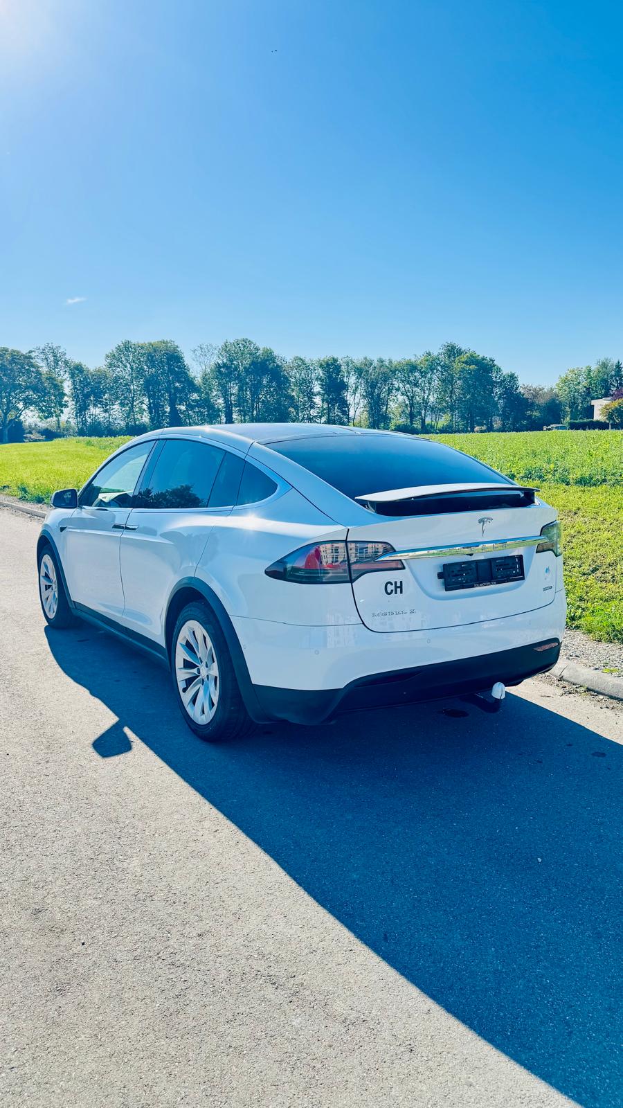 TESLA Model X 100 D-image-2
