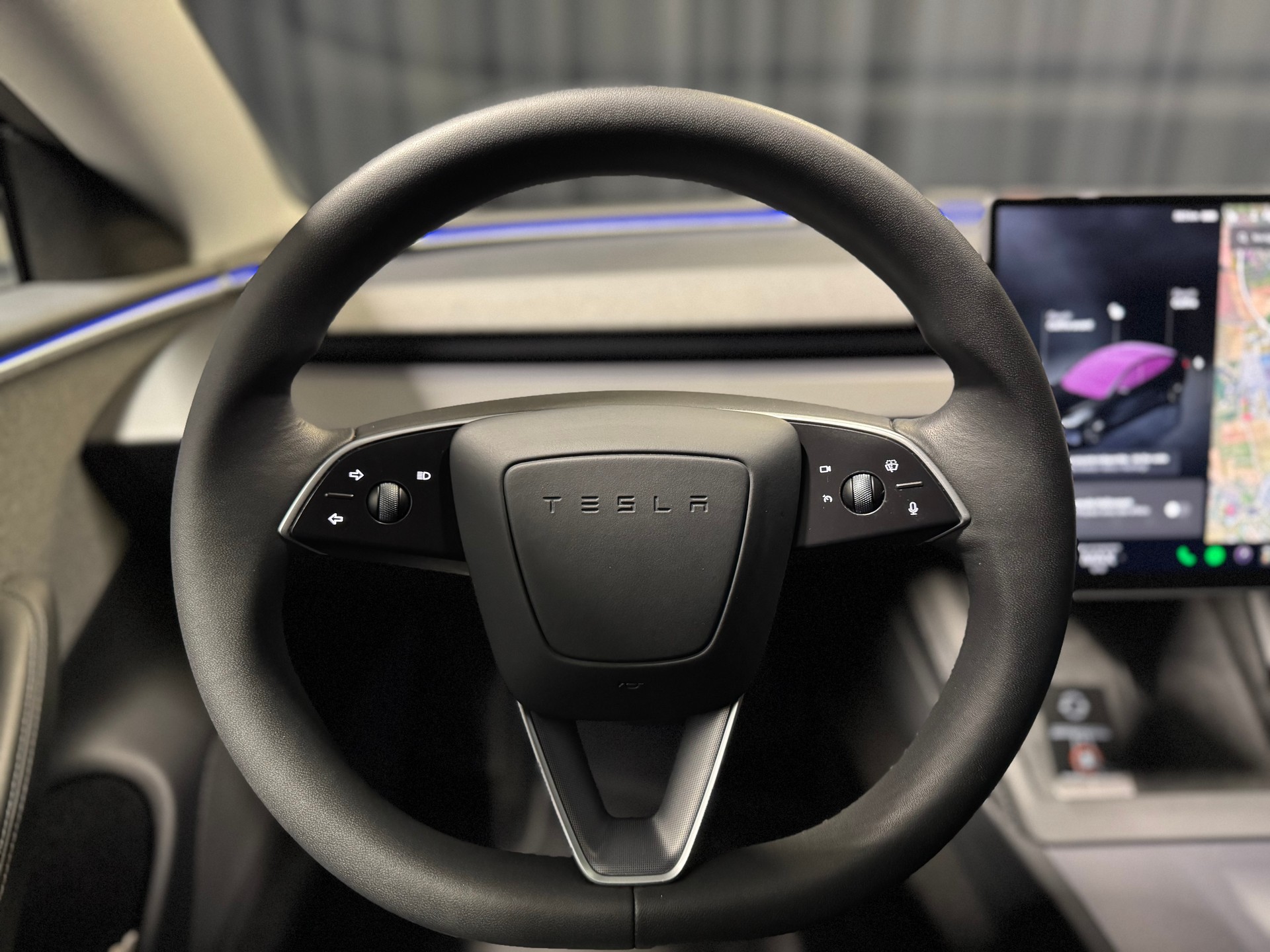 TESLA Model 3 RWD(M)(65)-image-10