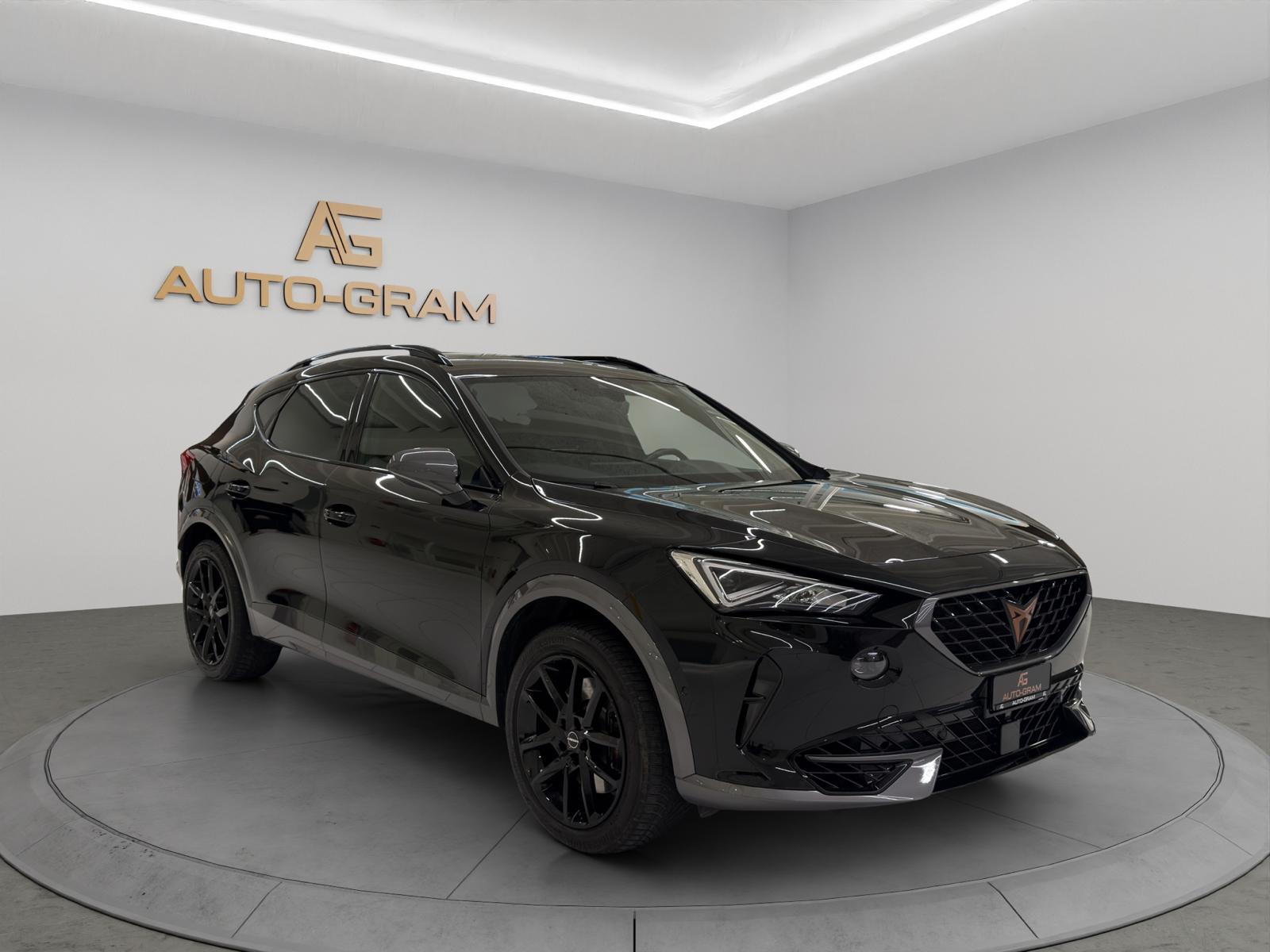CUPRA Formentor 2.0TSI VZ 4Drive DSG-image-6