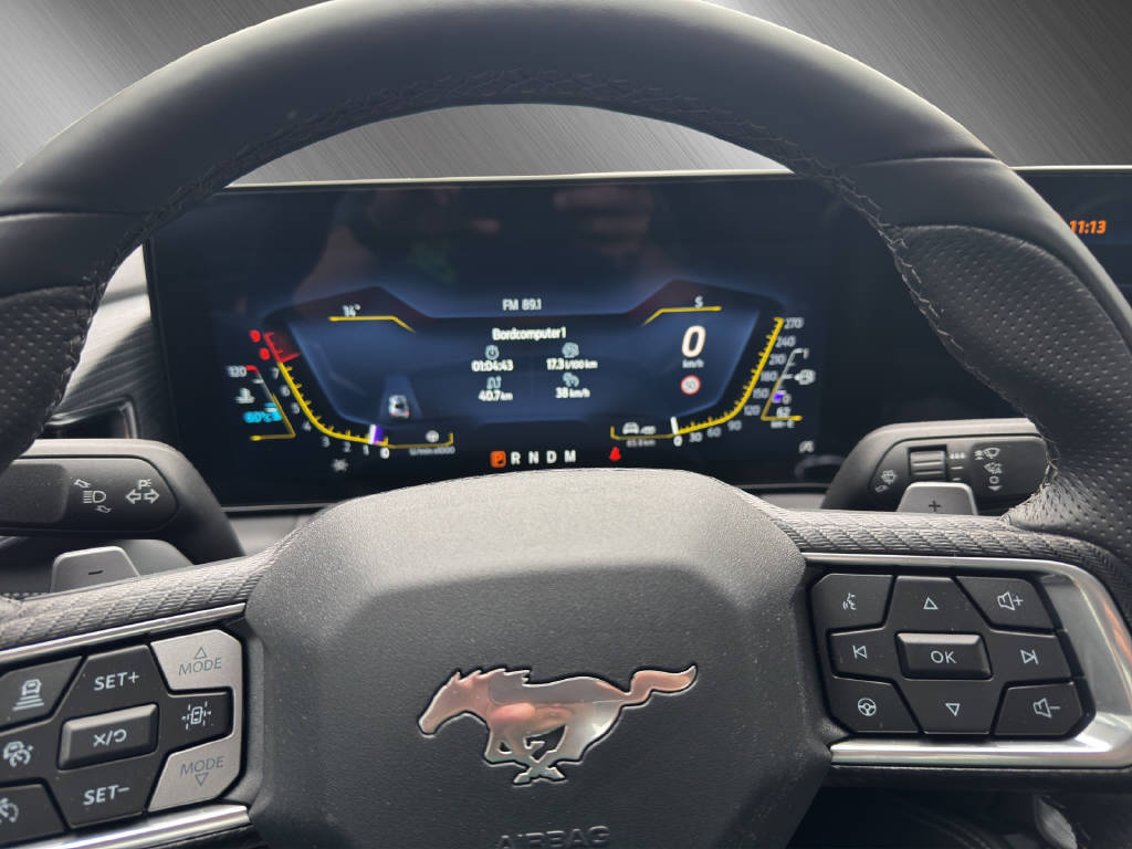 FORD Mustang Coupé 5.0 V8 GT **5 Jahre Garantie**-image-13