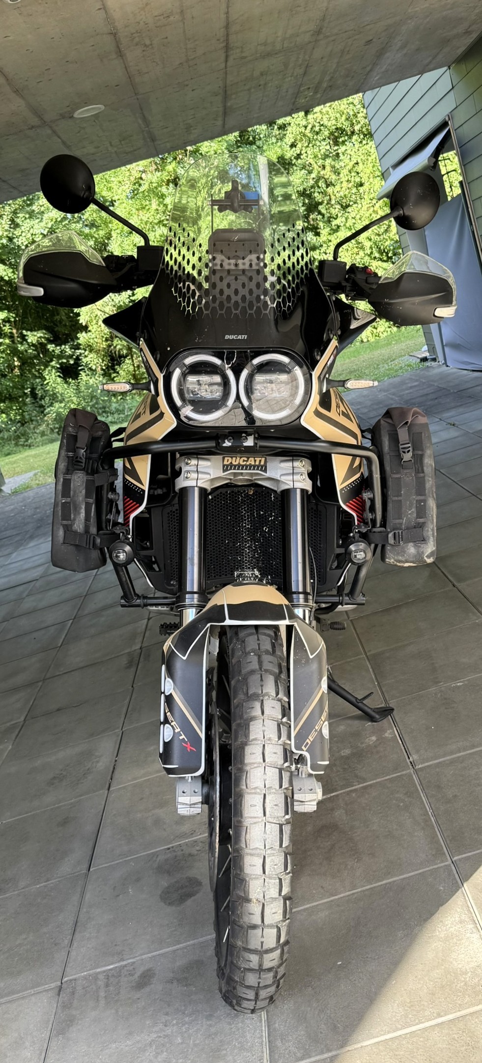 DUCATI Desert X-image-1