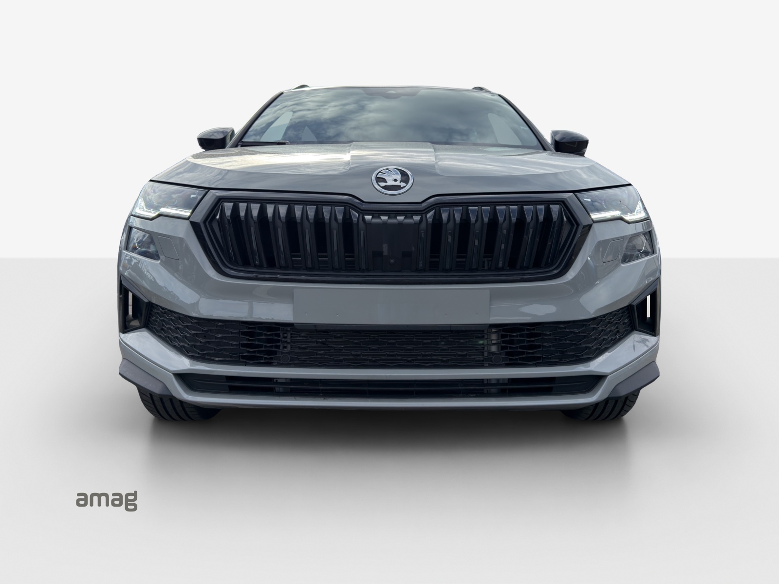 SKODA Karoq 2.0 TSI SportLine 4x4 DSG-image-6