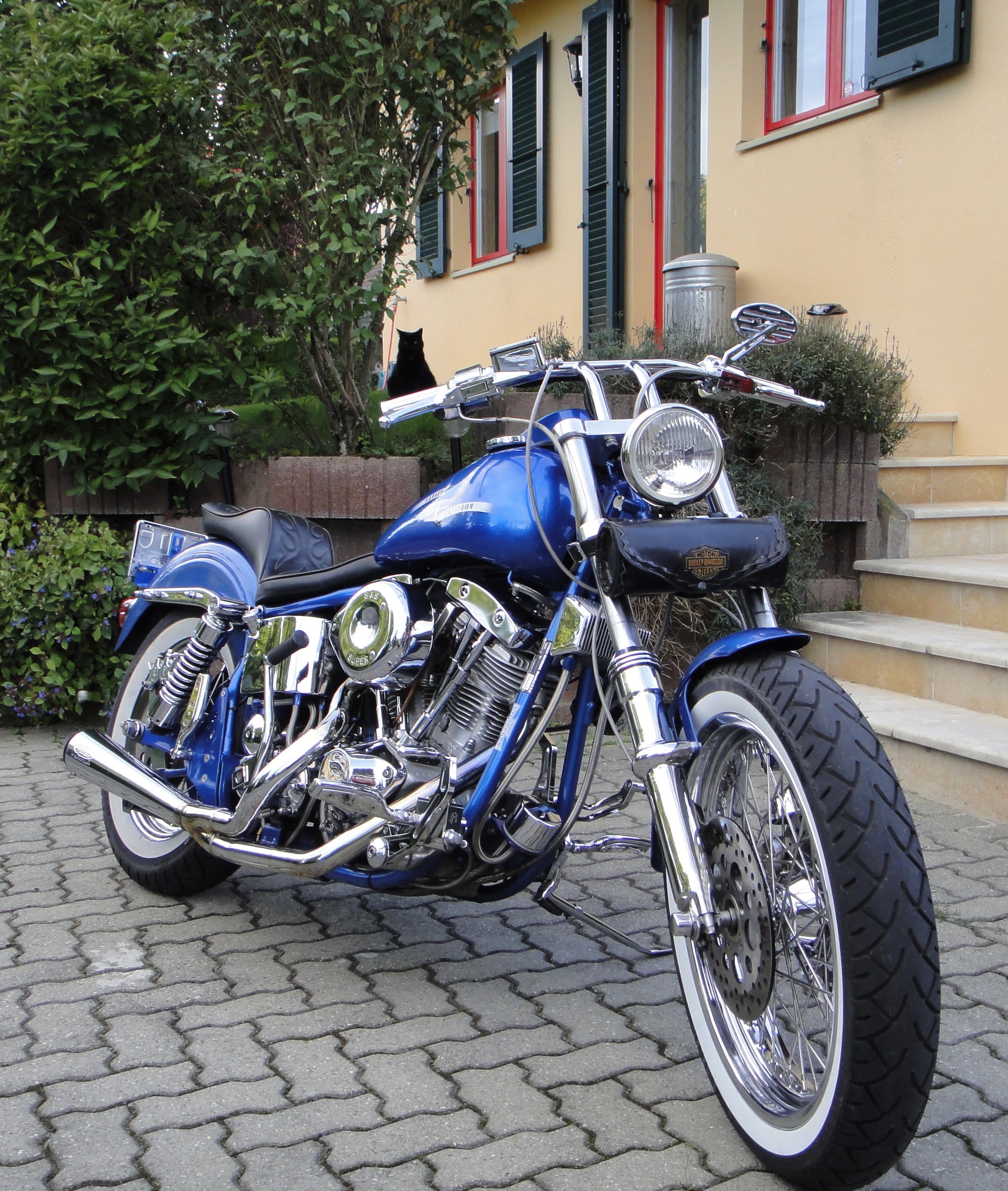 HARLEY-DAVIDSON Lowrider Shovelhead