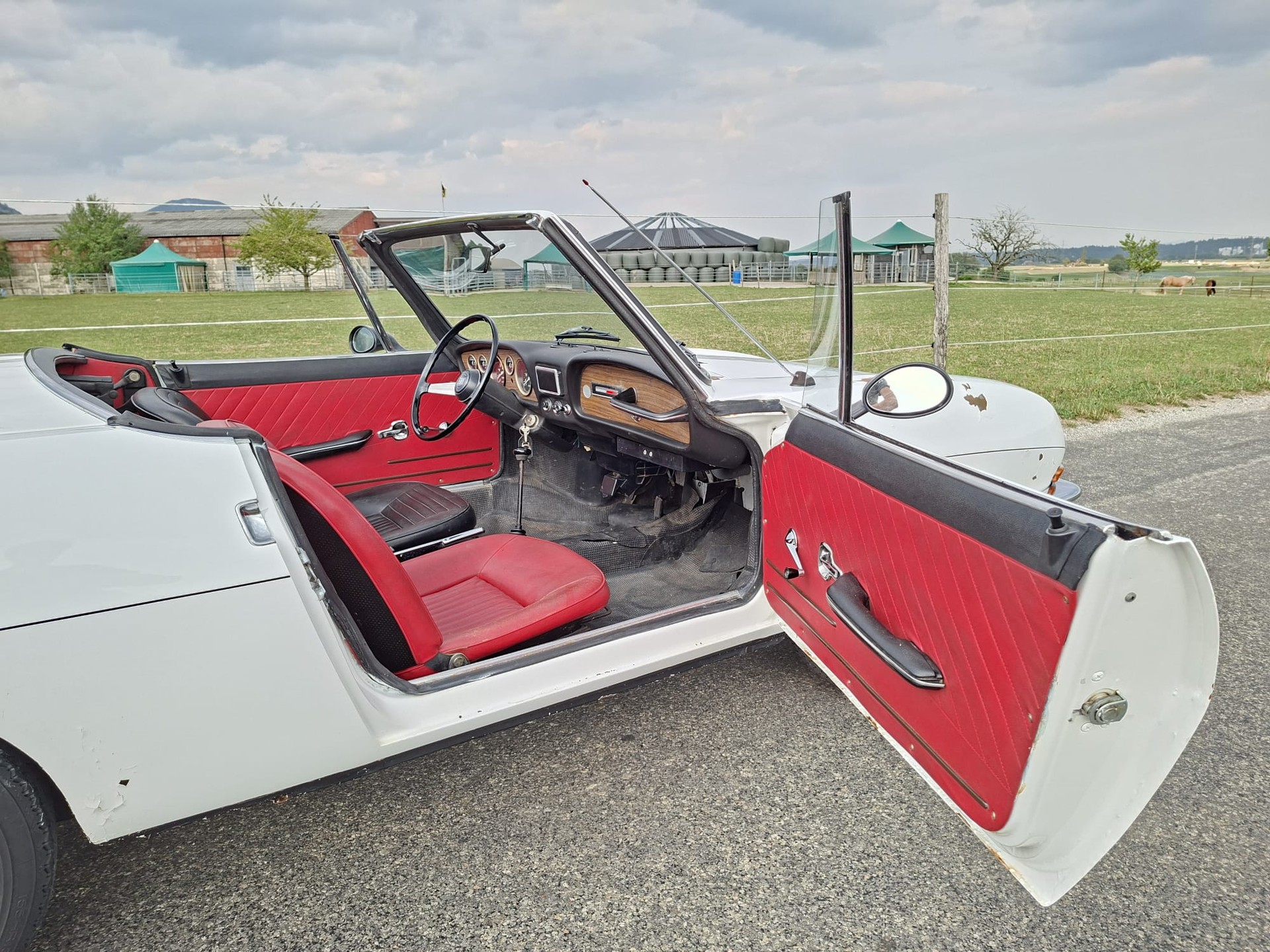 FIAT Spider-image-12