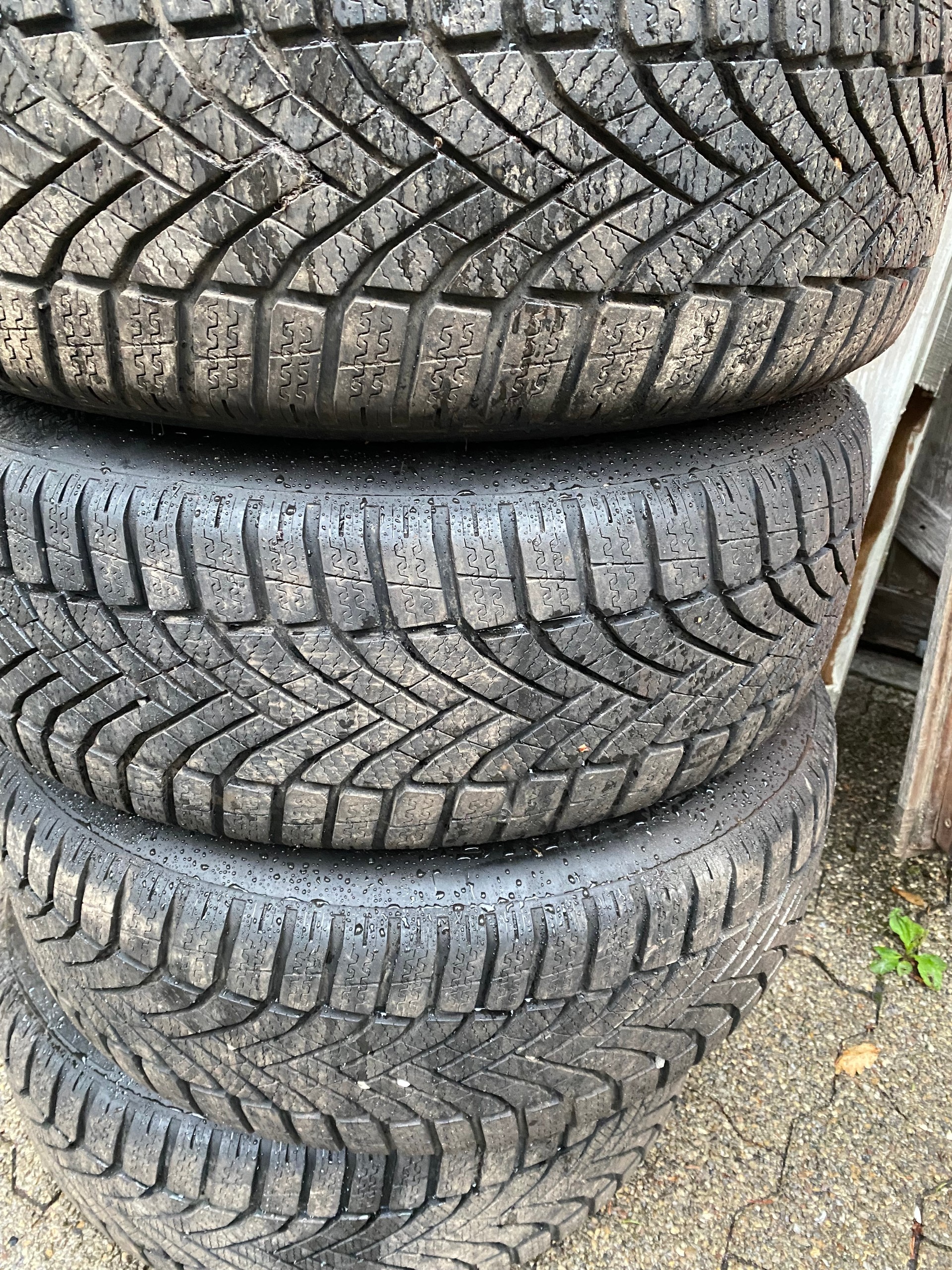 TOYOTA Frisch ab MFK – 8-fach bereift-image-13