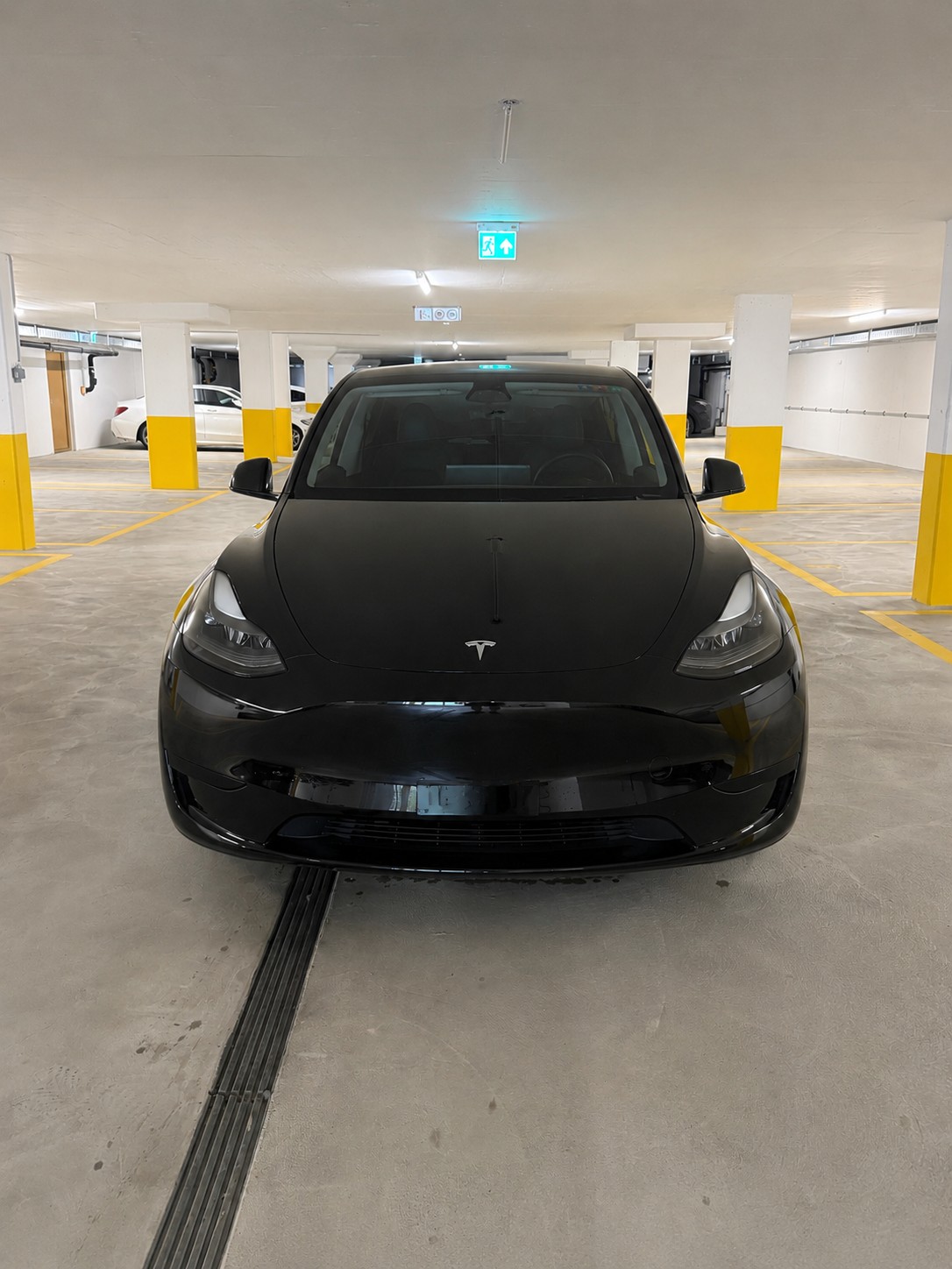 TESLA Model Y Basis-image-0