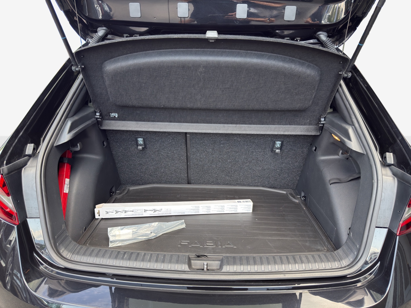 SKODA Fabia 1.0 TSI Monte Carlo DSG-image-12