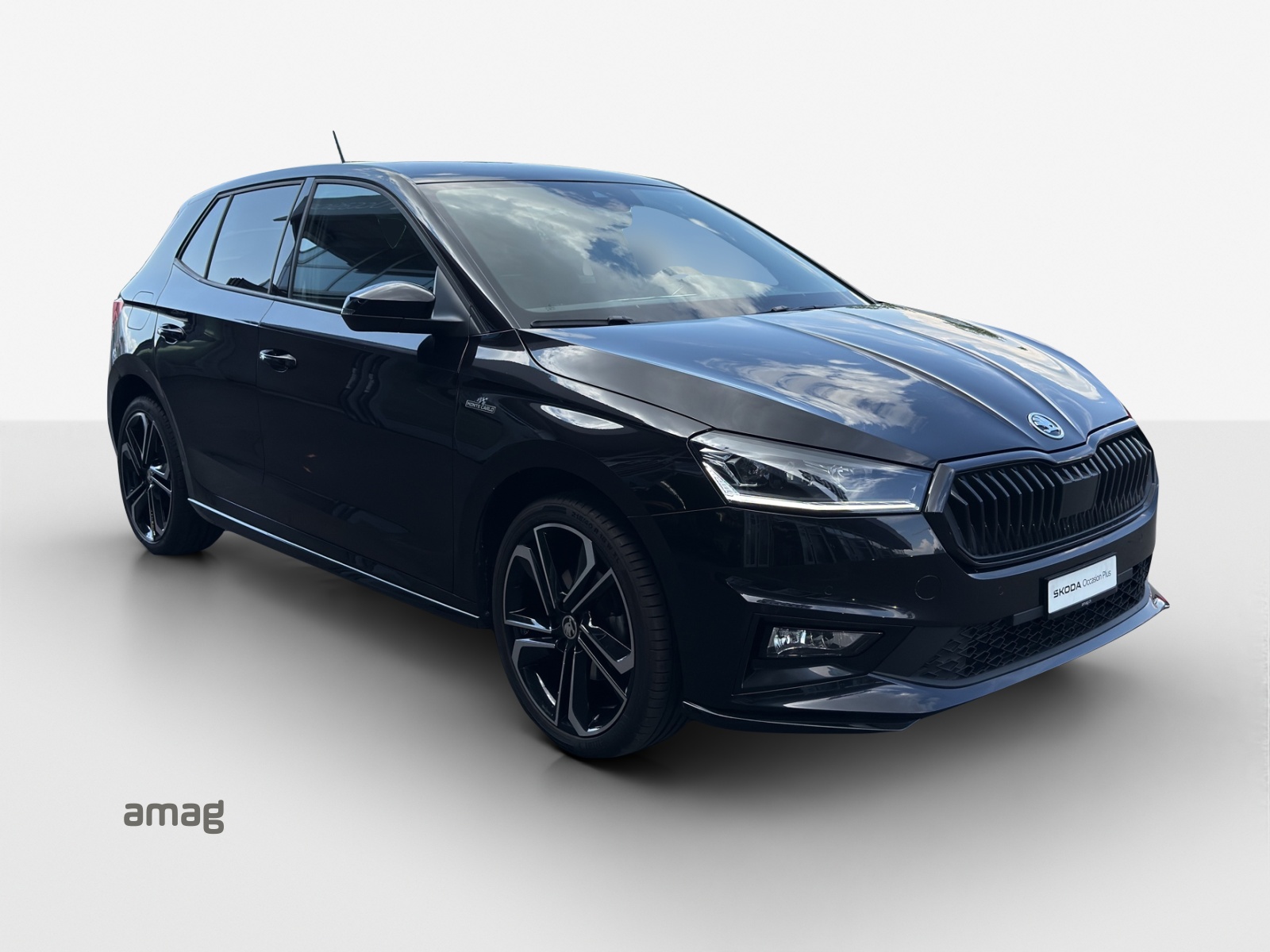 SKODA Fabia 1.0 TSI Monte Carlo DSG-image-5