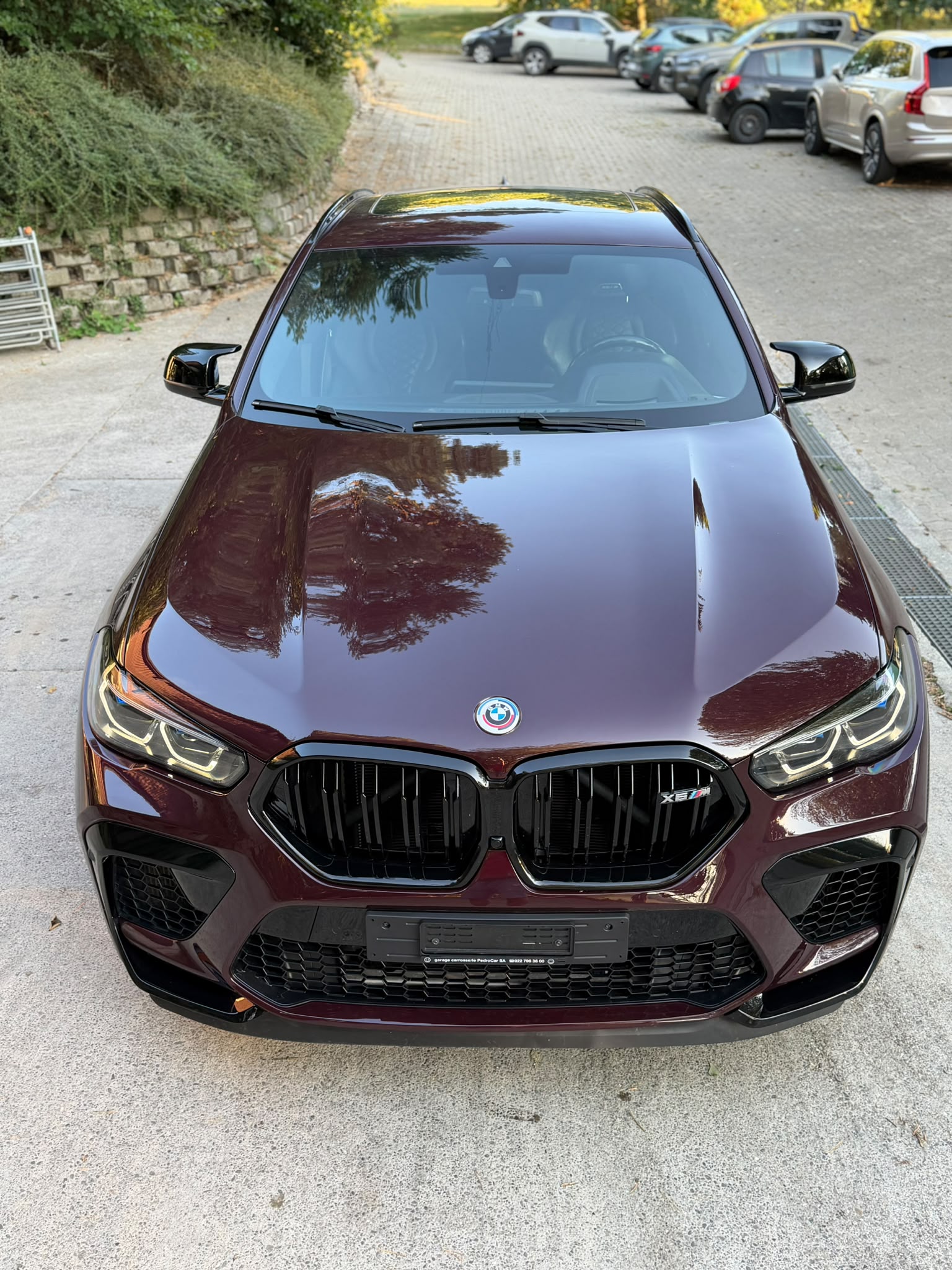 BMW X6M Steptronic M Competition-image-8