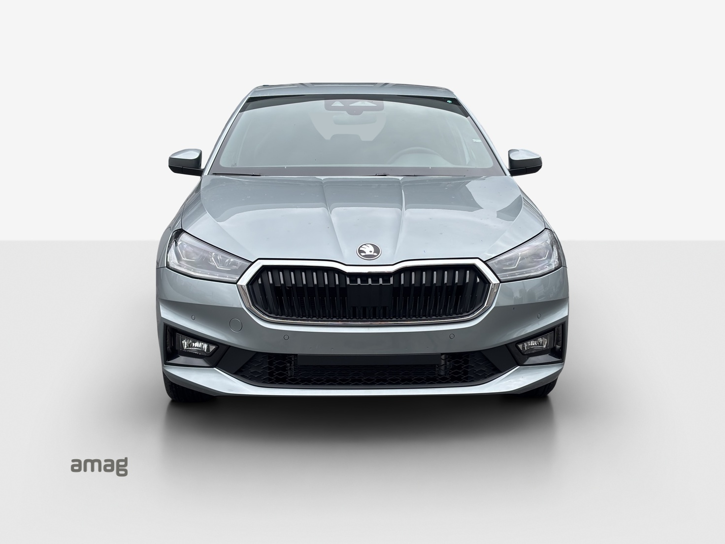 SKODA Fabia 1.0 TSI Dynamic DSG-image-6