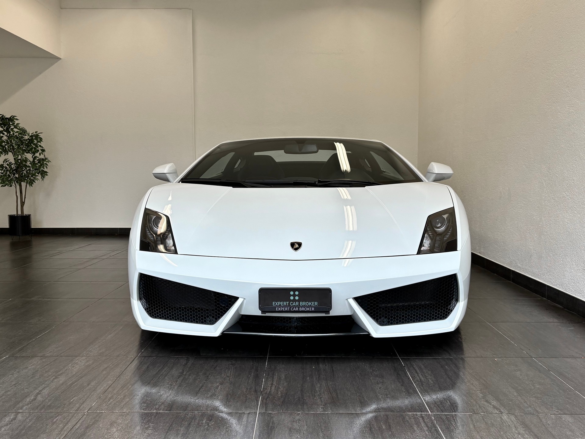 LAMBORGHINI Gallardo LP560-4 Coupé E-Gear-image-2