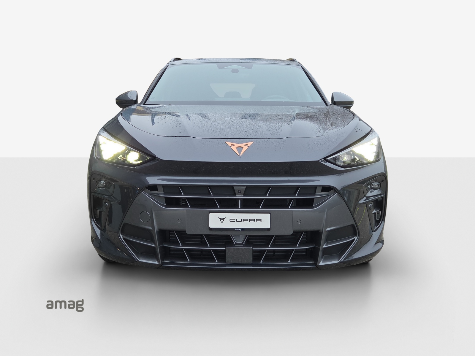 CUPRA Terramar 2.0 TSI DSG Prime Edition VZ 4Drive-image-6