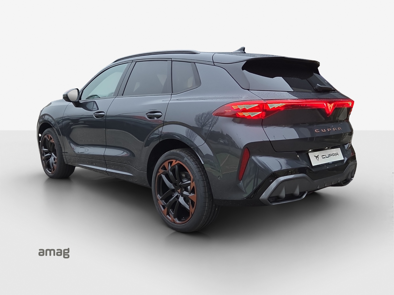 CUPRA Terramar 2.0 TSI DSG Prime Edition VZ 4Drive-image-2