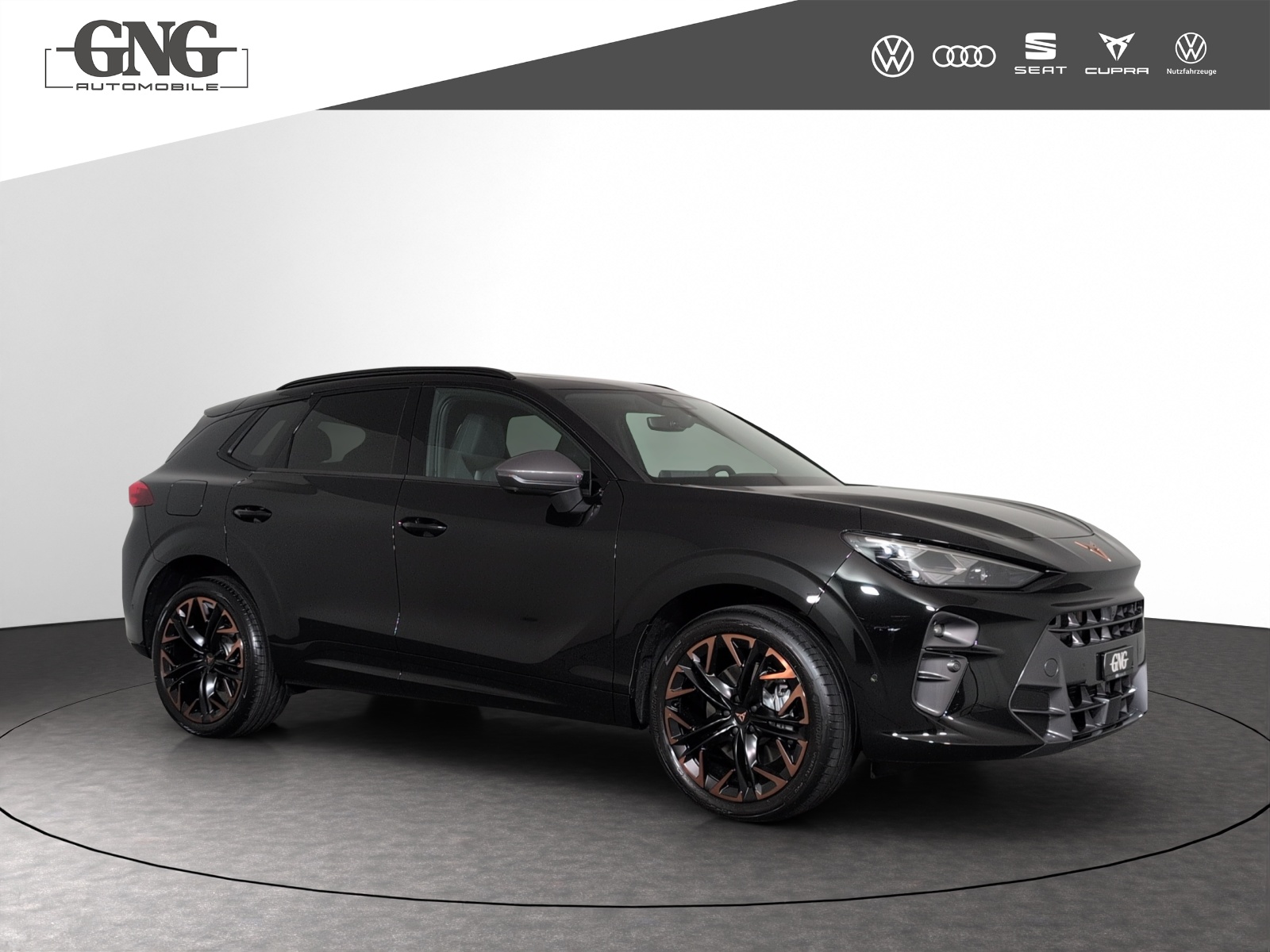 CUPRA Terramar 2.0 TSI Prime Edition DSG 4Drive-image-3
