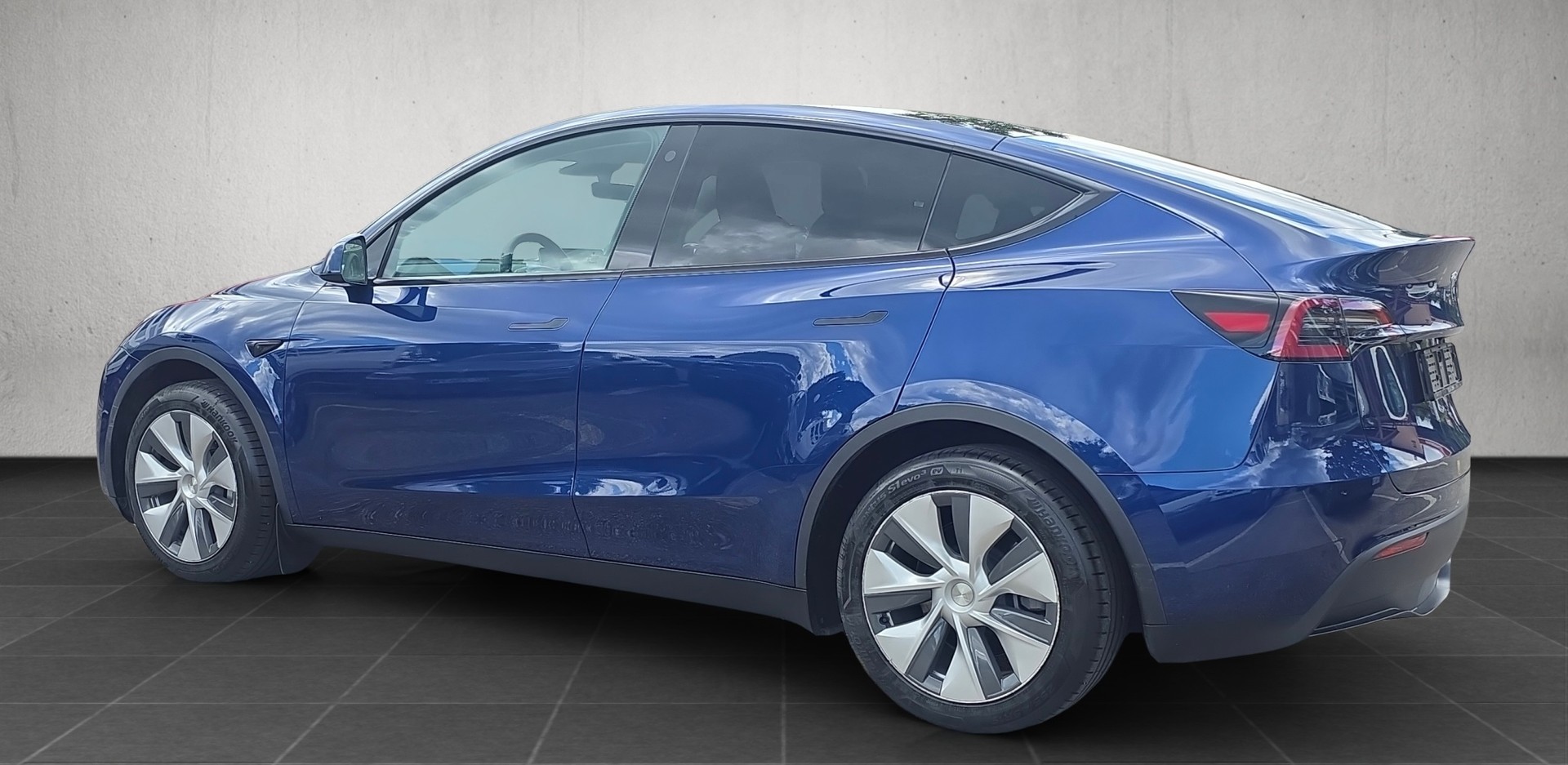 TESLA Long Range D-image-1