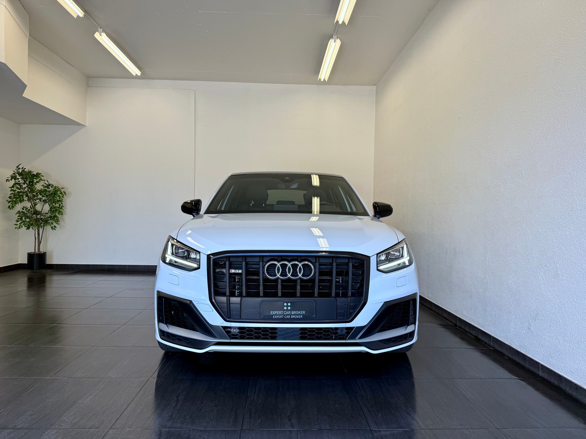 AUDI SQ2 TFSI quattro S-tronic-showroom-element-3
