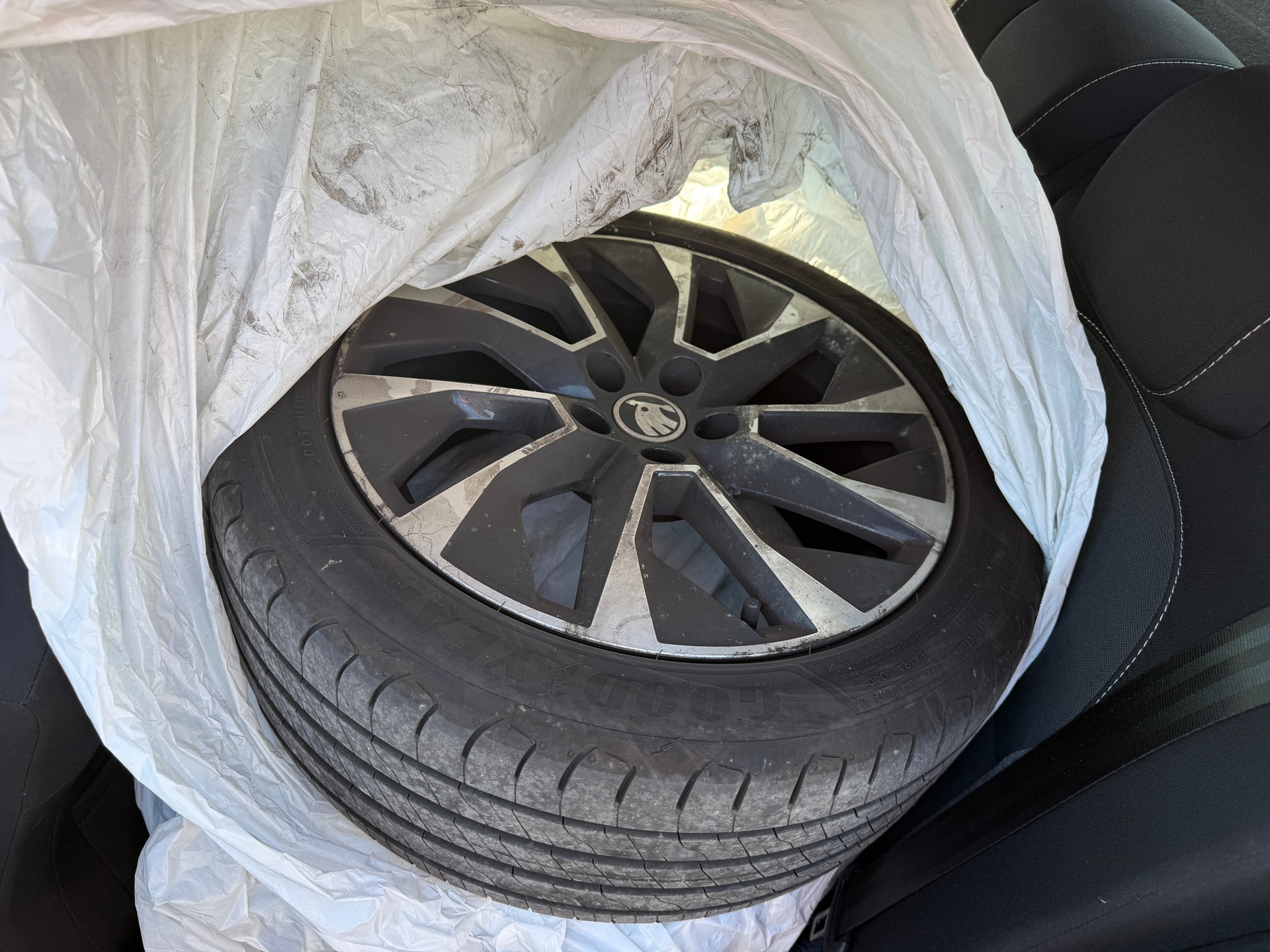 SKODA Fabia 1.0 TSI Drive-image-11