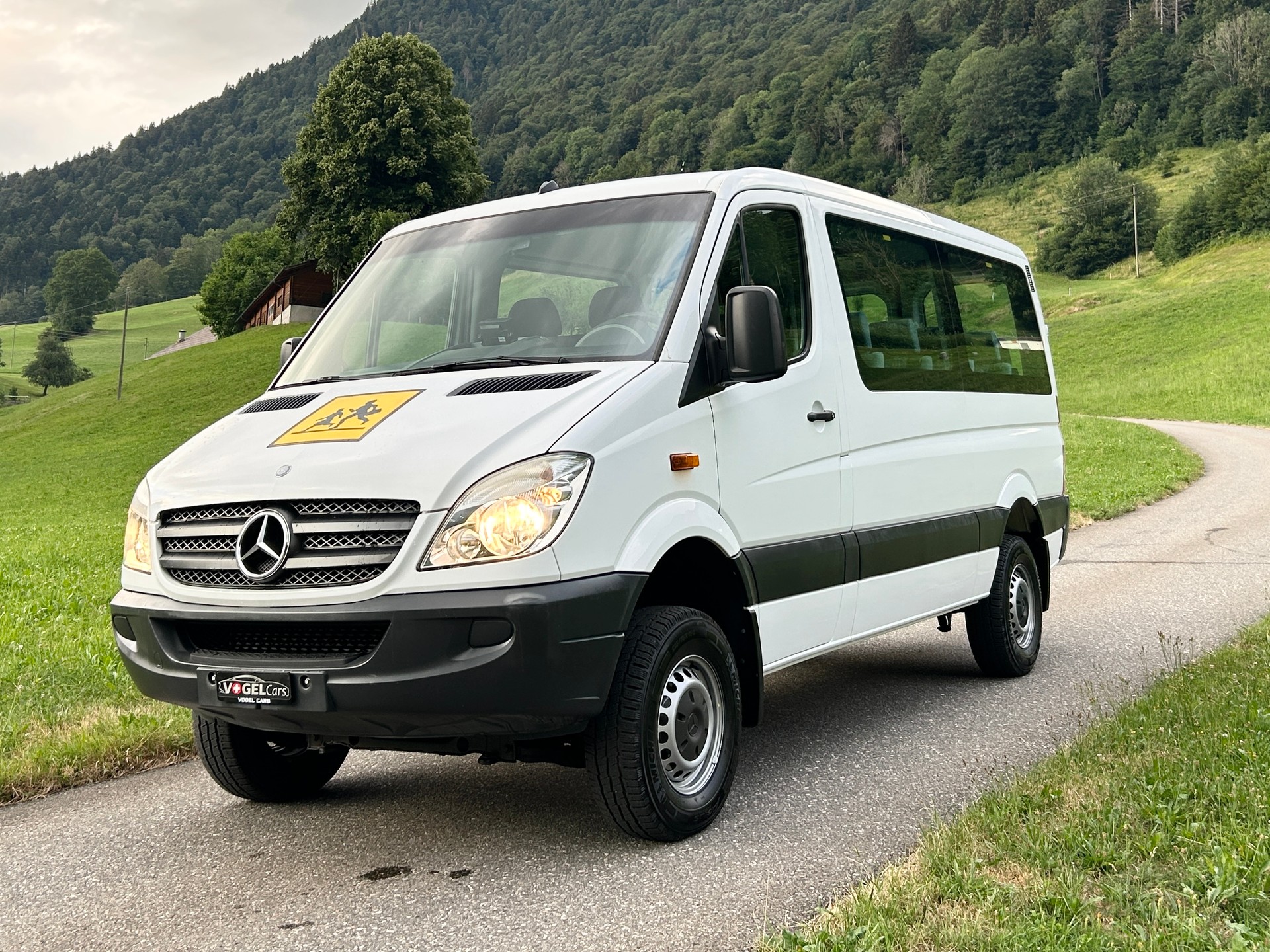 MERCEDES-BENZ 316 CDI 4x4-image-0