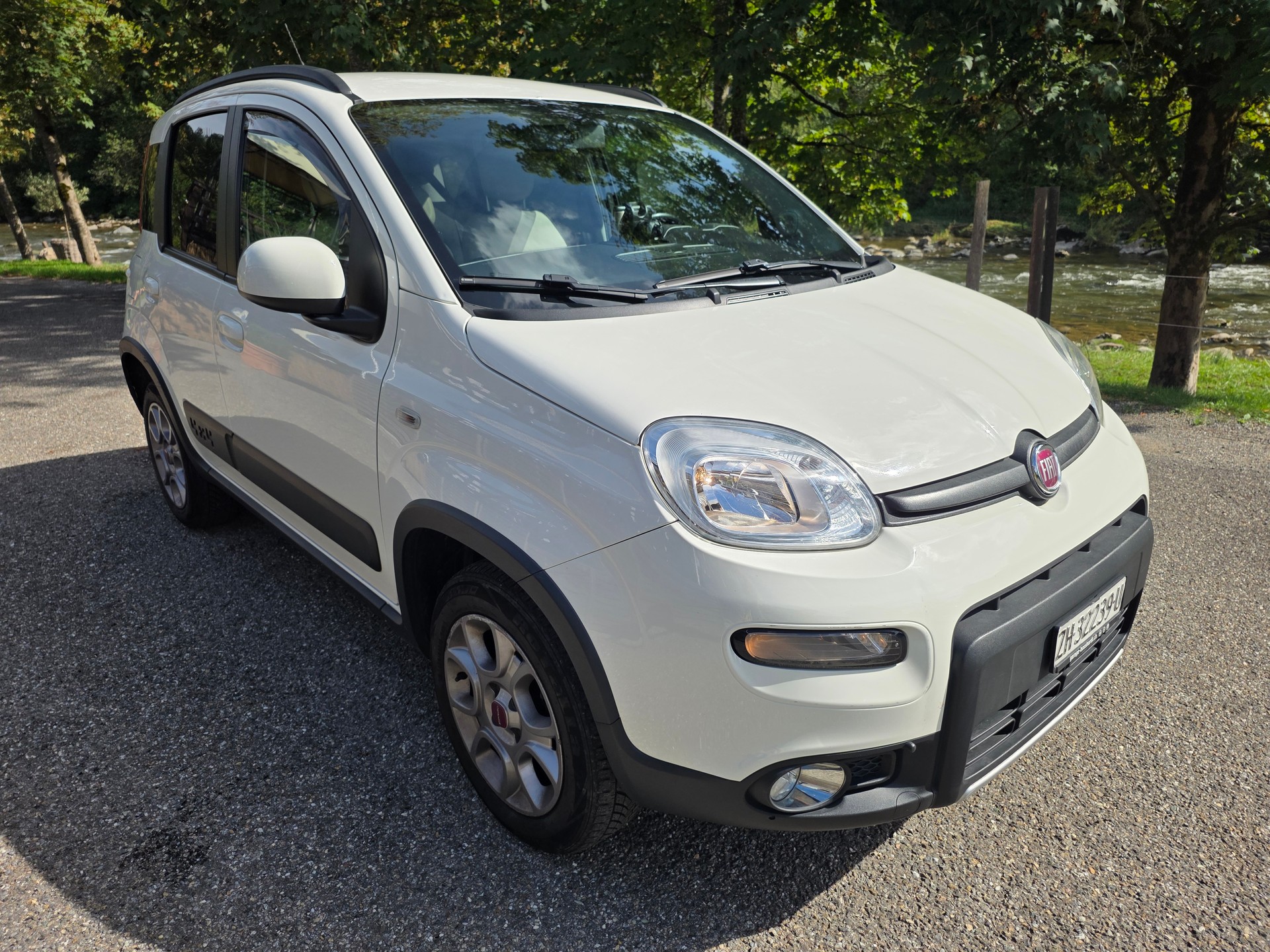FIAT Panda 1.3 MJ Climbing 4x4 ☆☆☆ Hagelschaden ☆☆☆ DPF ersetzt ☆☆☆ Mechanisch top ☆☆☆