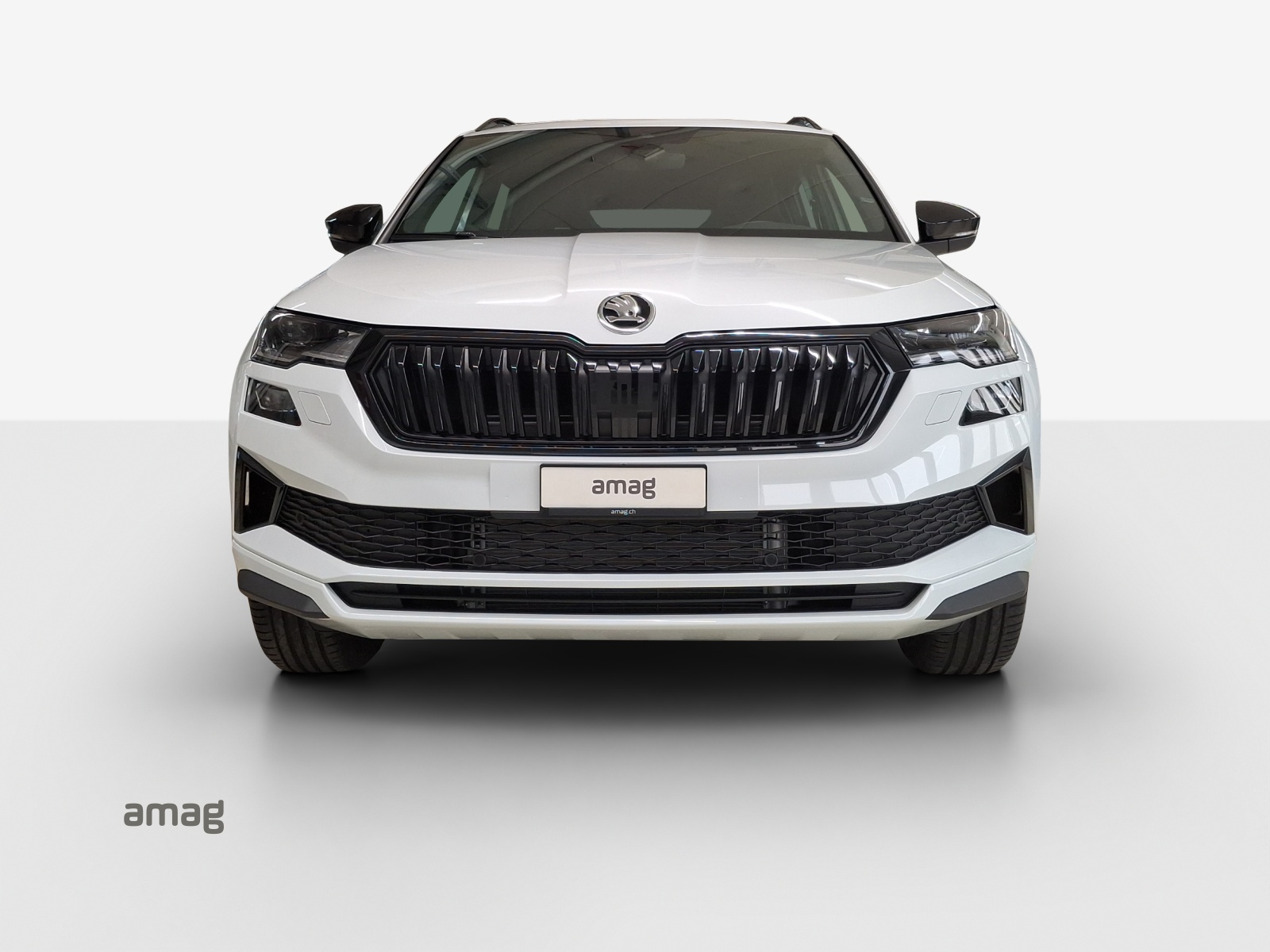 SKODA Karoq 2.0 TSI SportLine 4x4 DSG-image-6