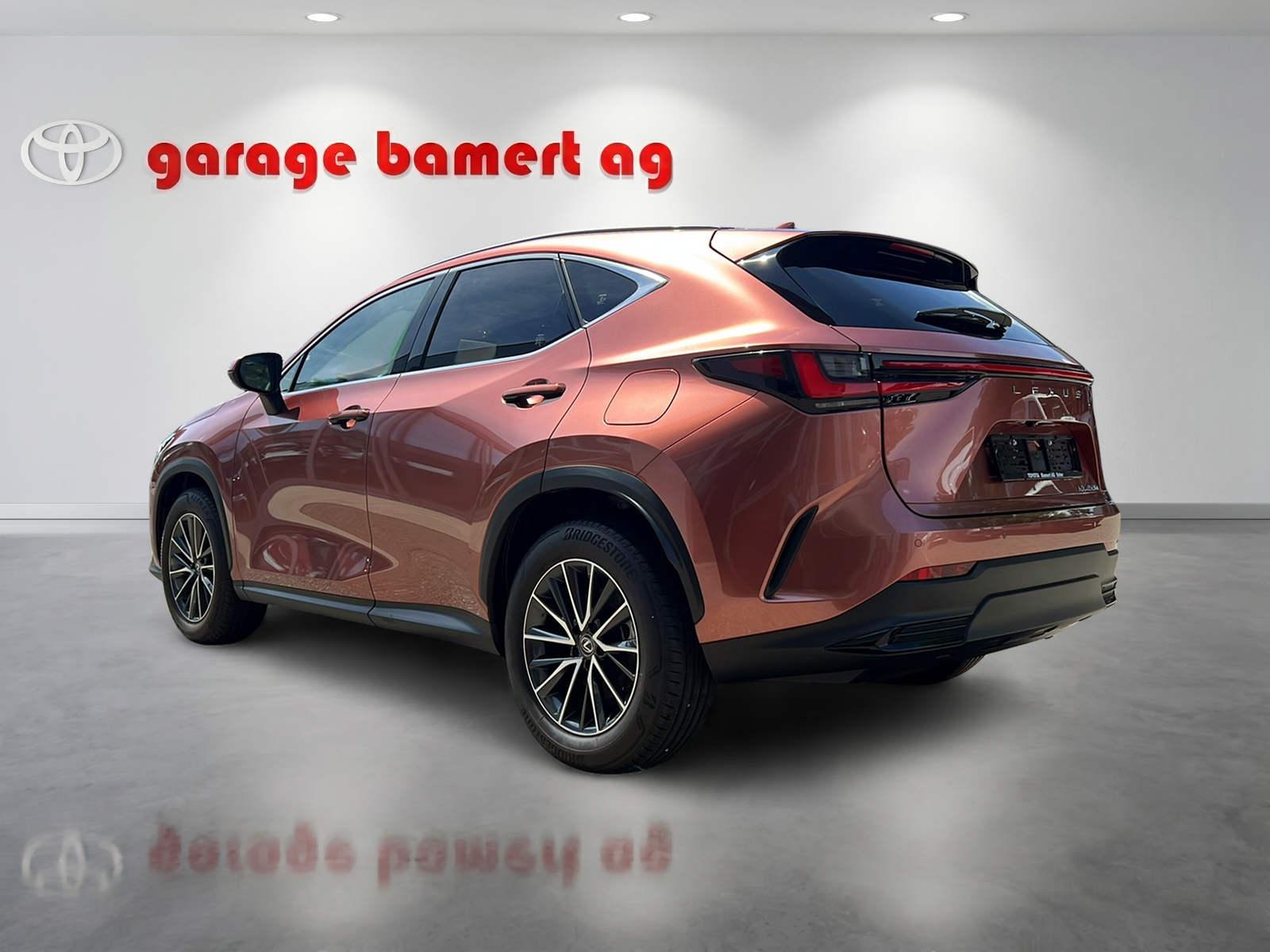 LEXUS NX 450h+ Excellence-showroom-element-3
