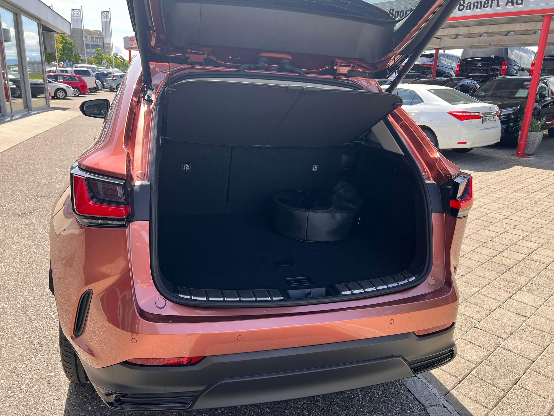 LEXUS NX 450h+ Excellence-image-6