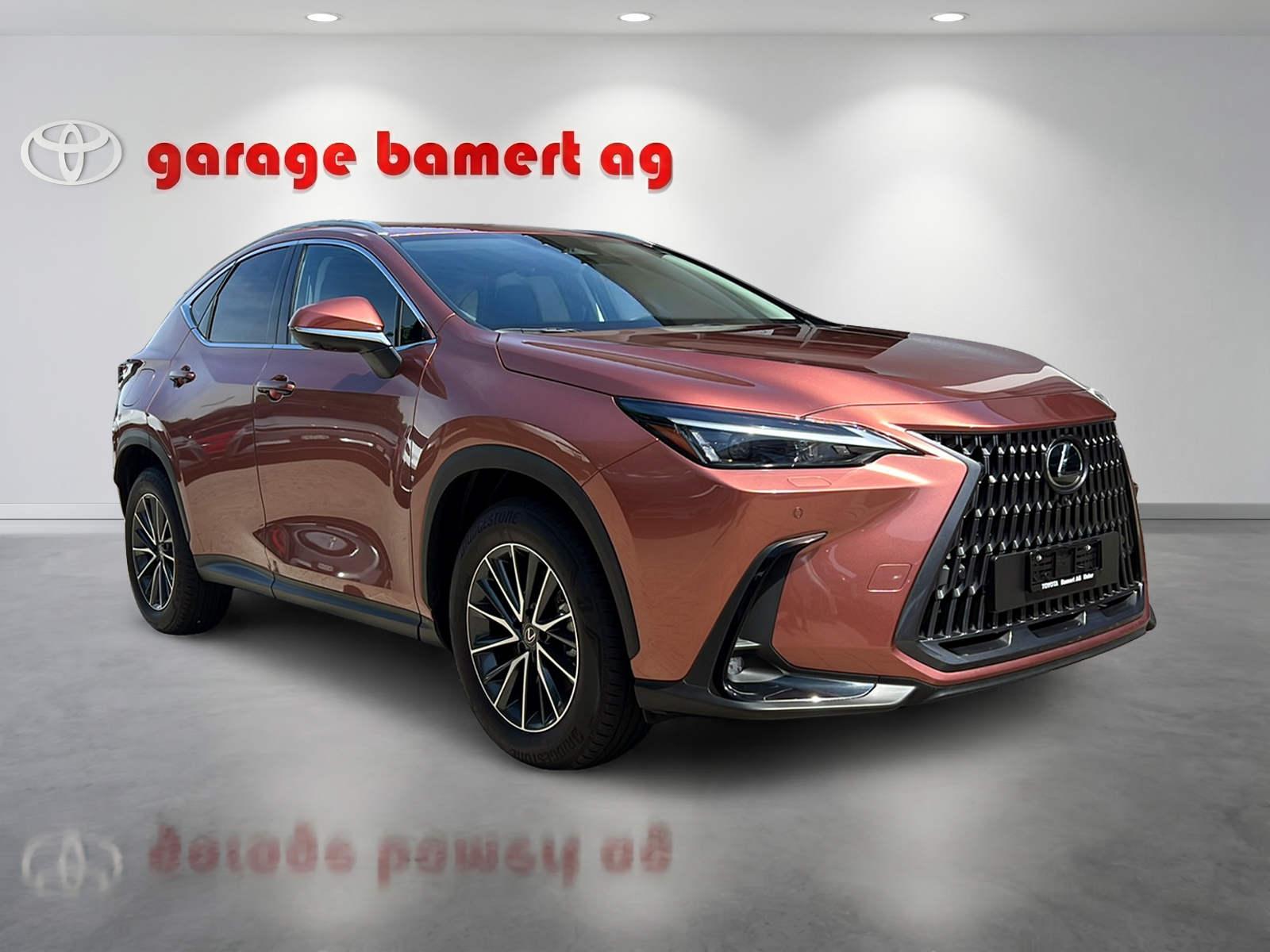 LEXUS NX 450h+ Excellence-showroom-element-2