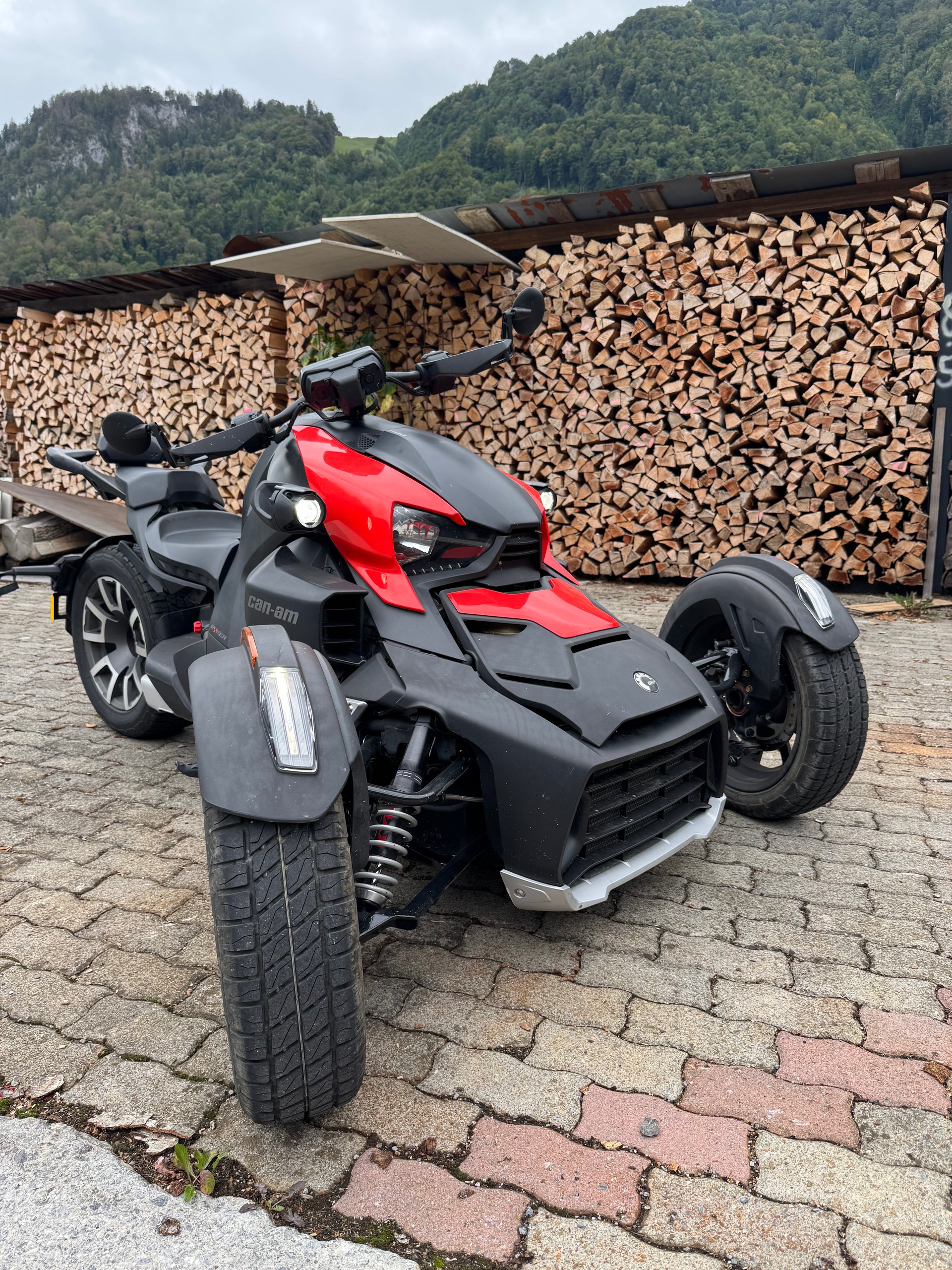 CAN-AM Ryker Ace 900 Rally Edition-image-6