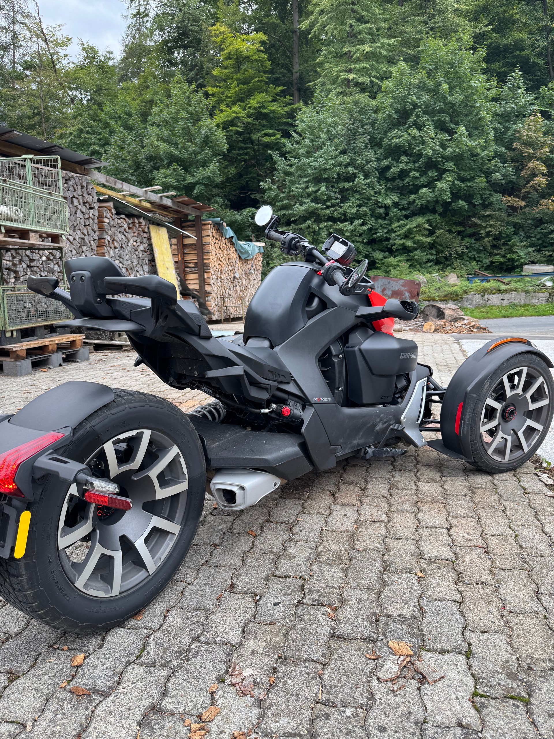 CAN-AM Ryker Ace 900 Rally Edition-image-7