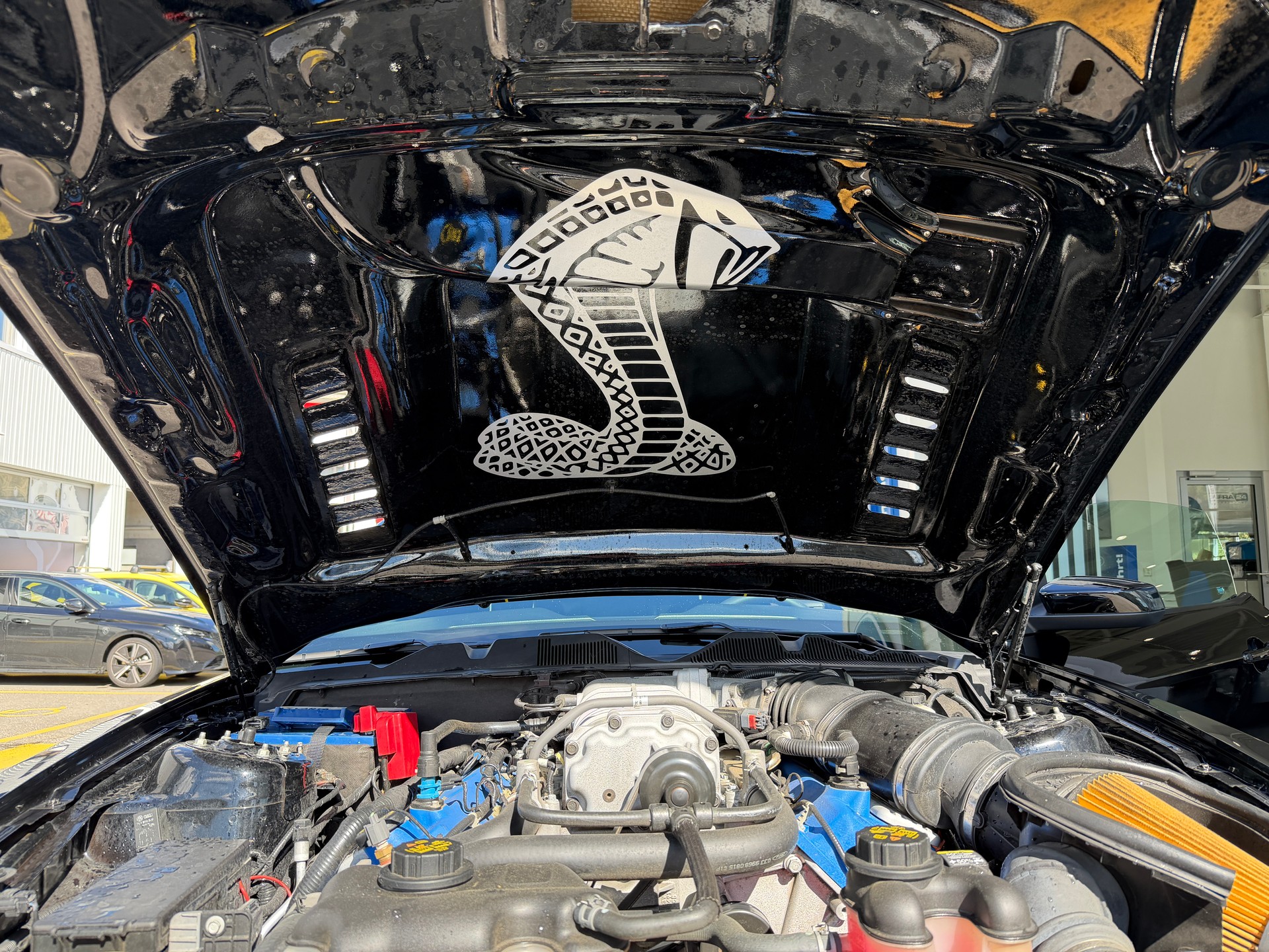FORD Shelby GT 500-image-11