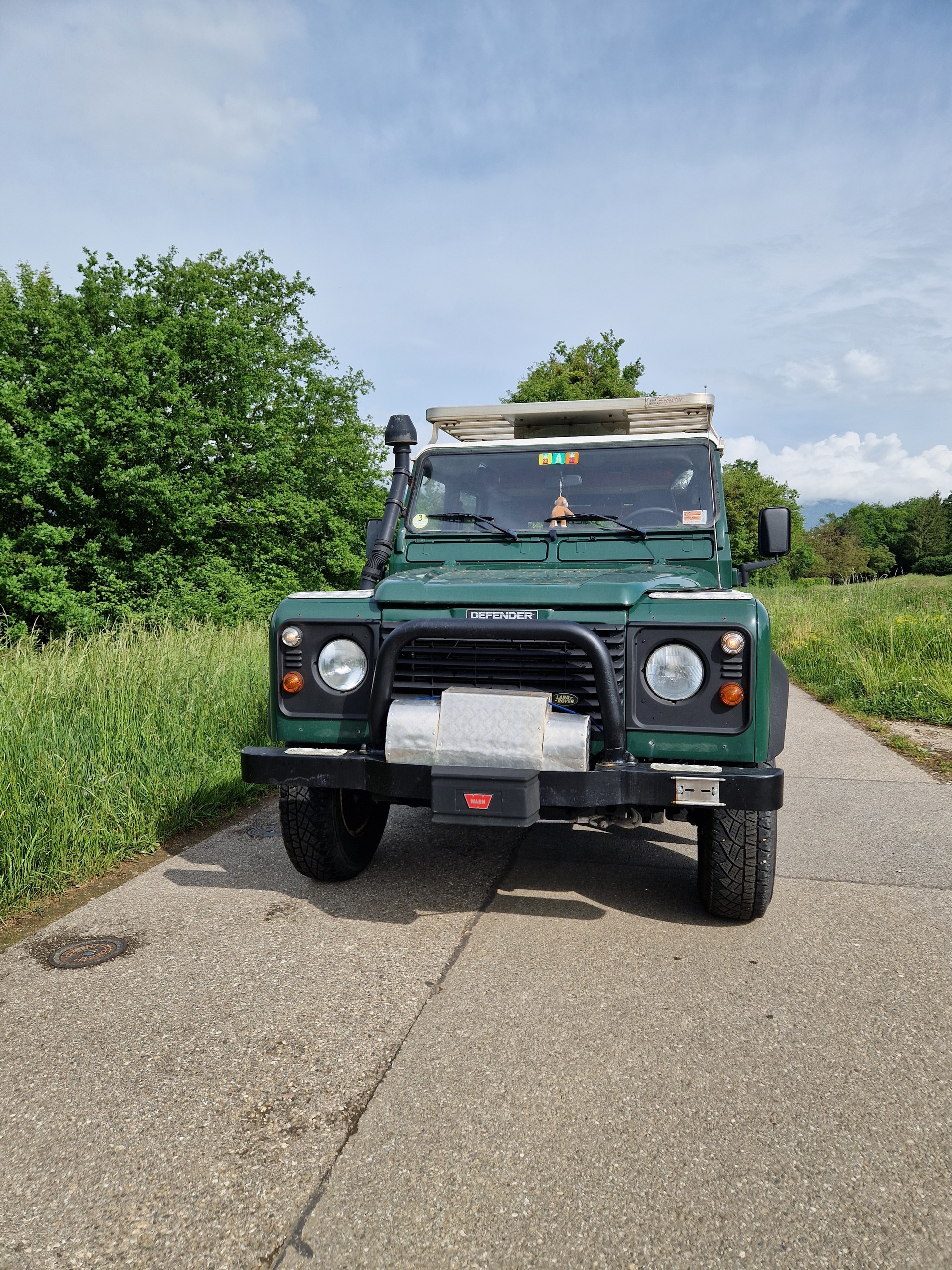 LAND ROVER Defender 110 SW 2.5 Td5-image-0
