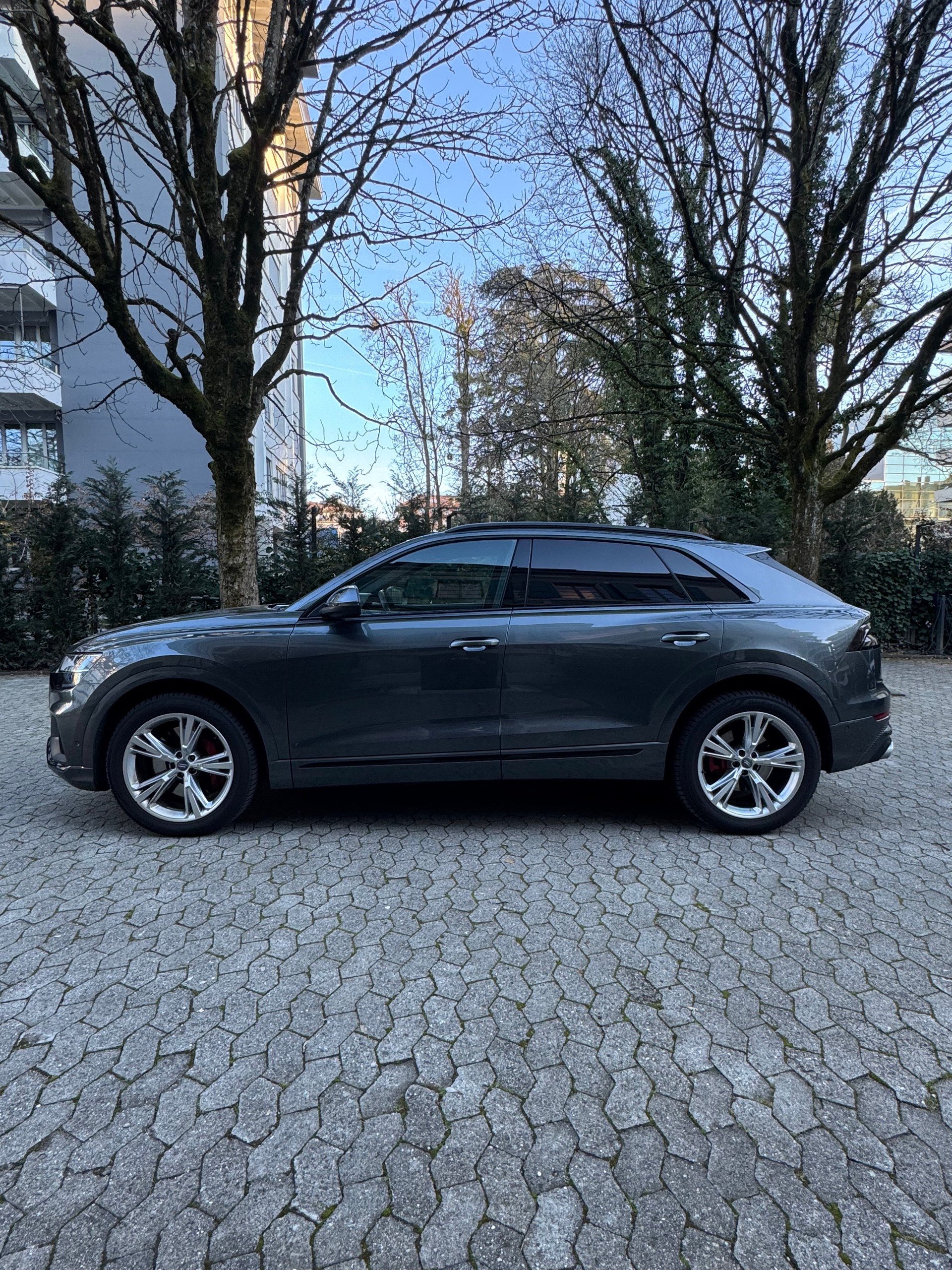 AUDI SQ8 50 TDI quattro tiptronic-image-2