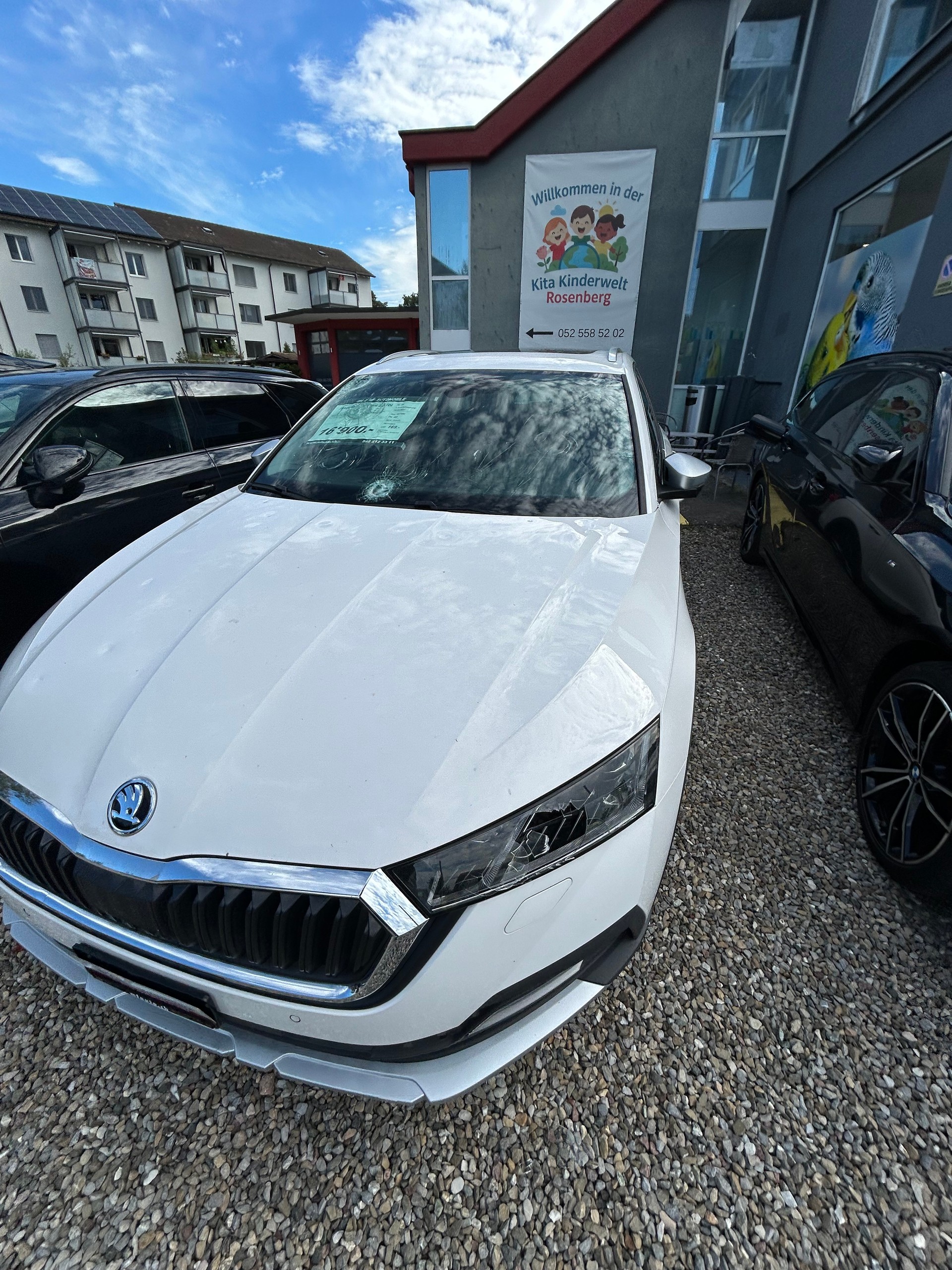 SKODA Octavia Scout 2.0 TDI 4x4 DSG ( Hagelschaden )-image-20