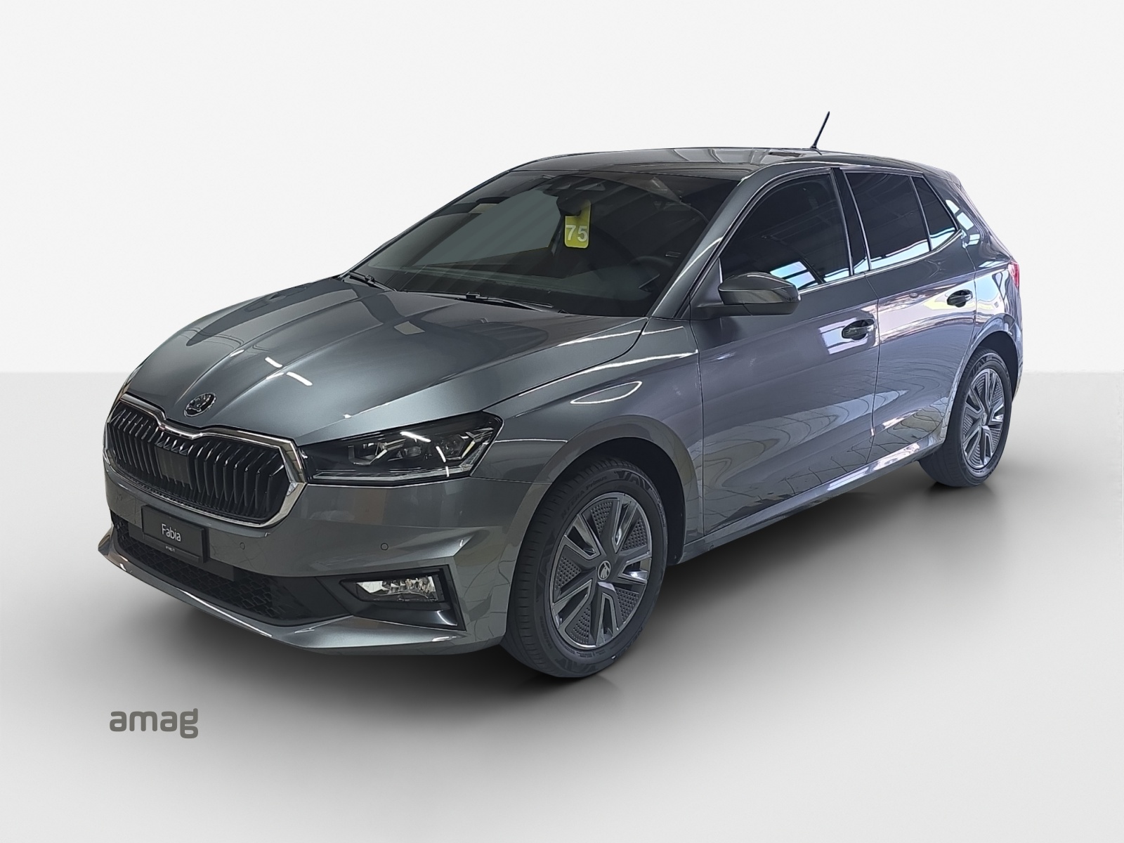 SKODA Fabia 1.0 TSI Dynamic DSG-image-0