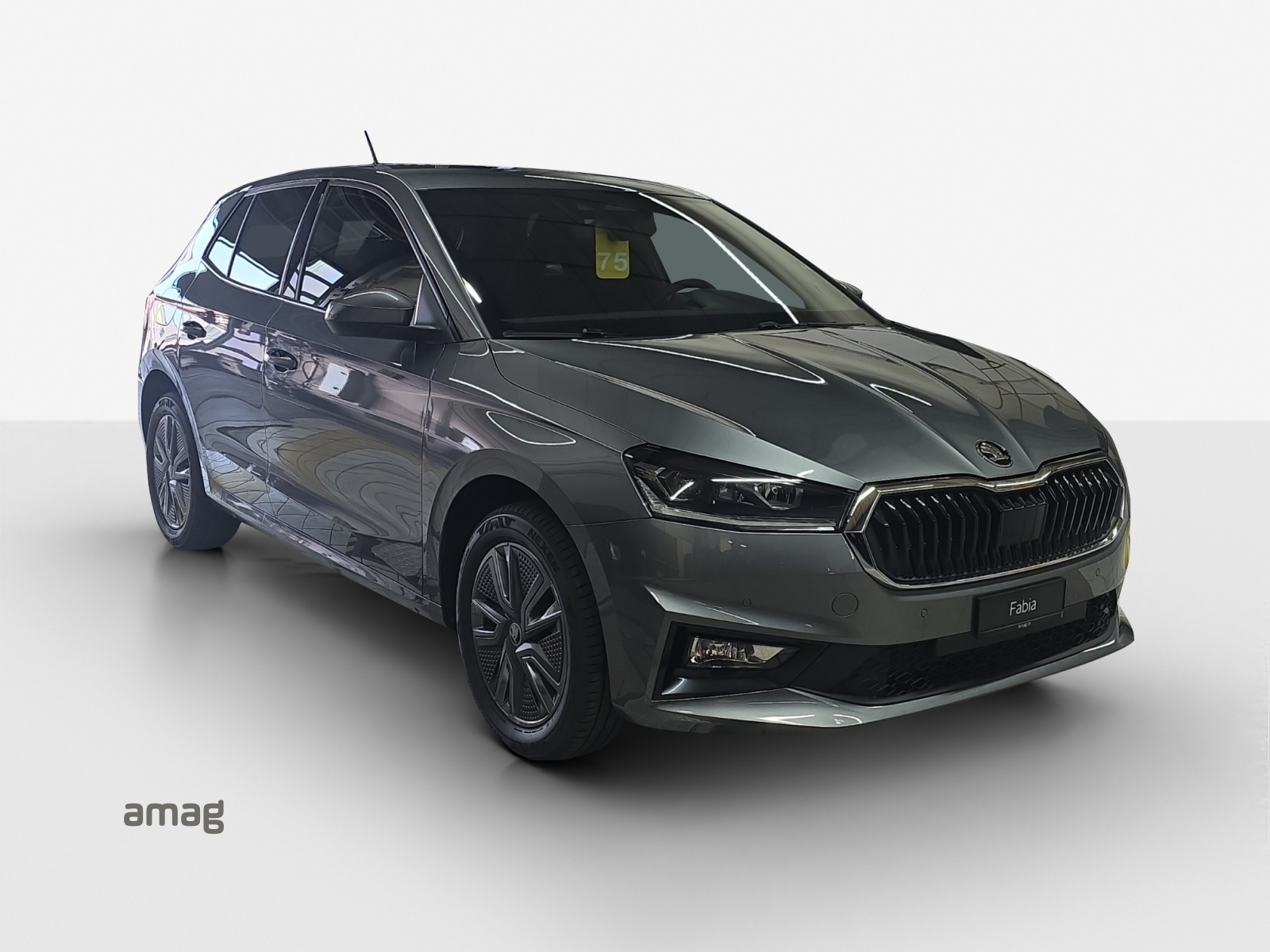 SKODA Fabia 1.0 TSI Dynamic DSG-image-5