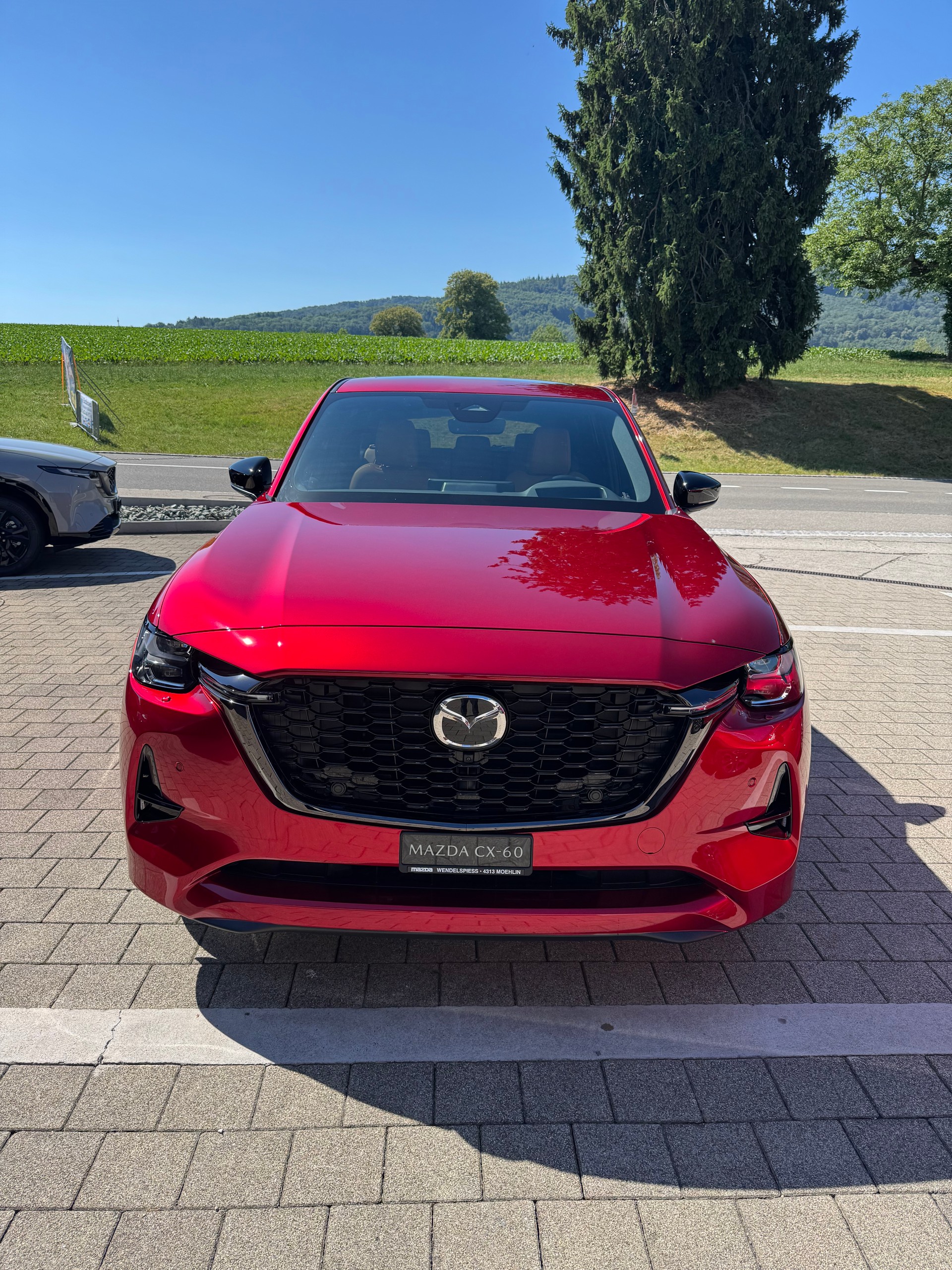 MAZDA CX-60 3.3L e-Skyactiv D 254 MHEV AWD Homura Plus-image-0