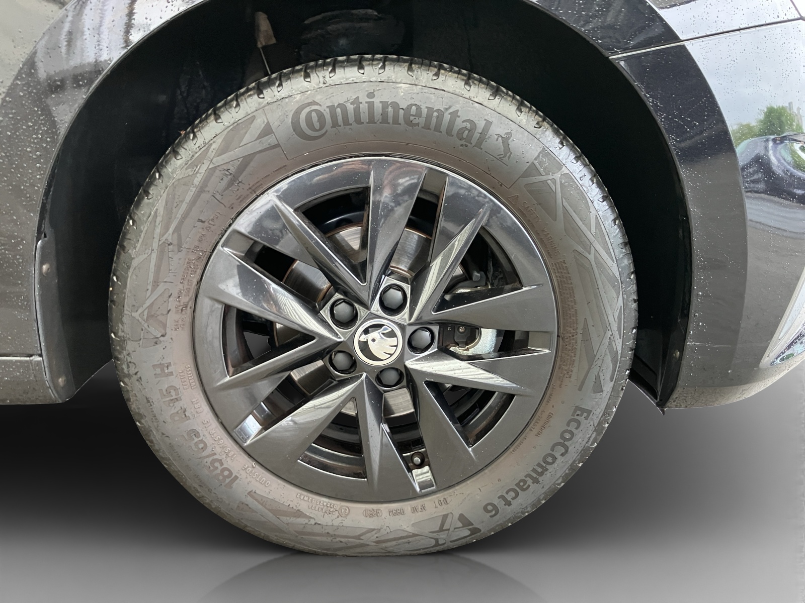 SKODA Fabia 1.0 TSI Ambition-image-15