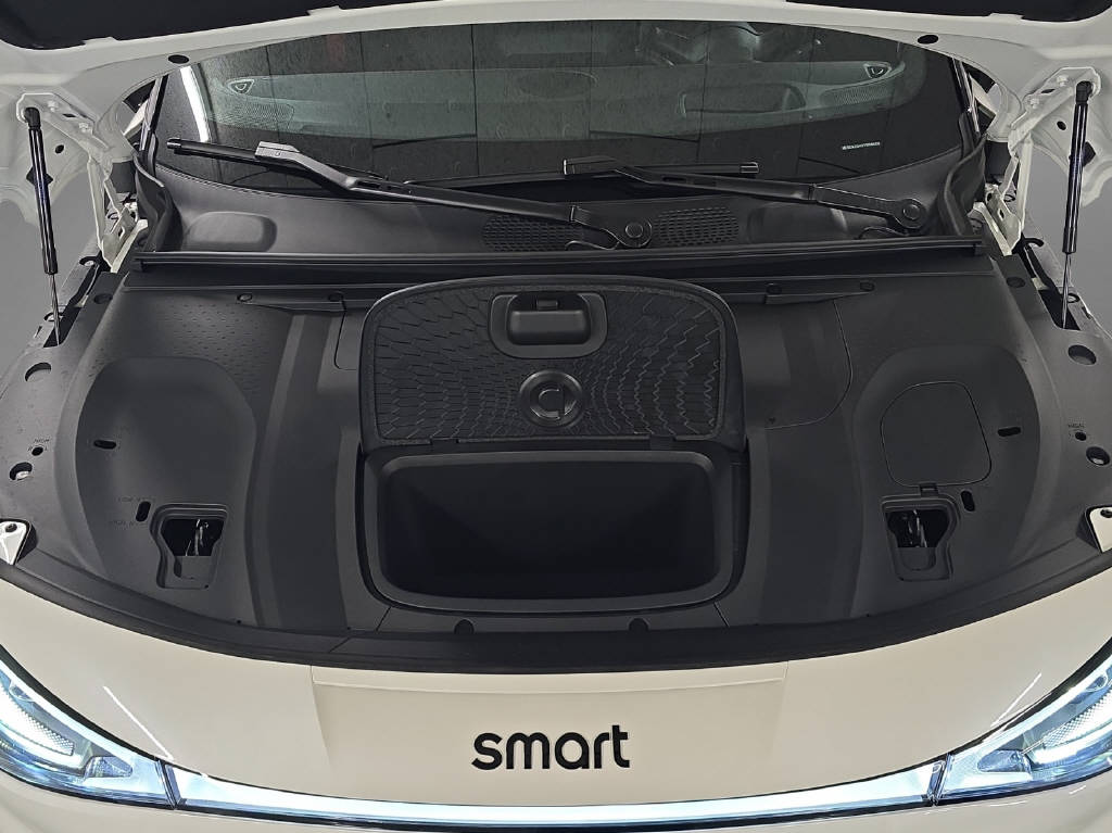 SMART #3 Brabus 4x4 66 kWh, 22kW-image-8