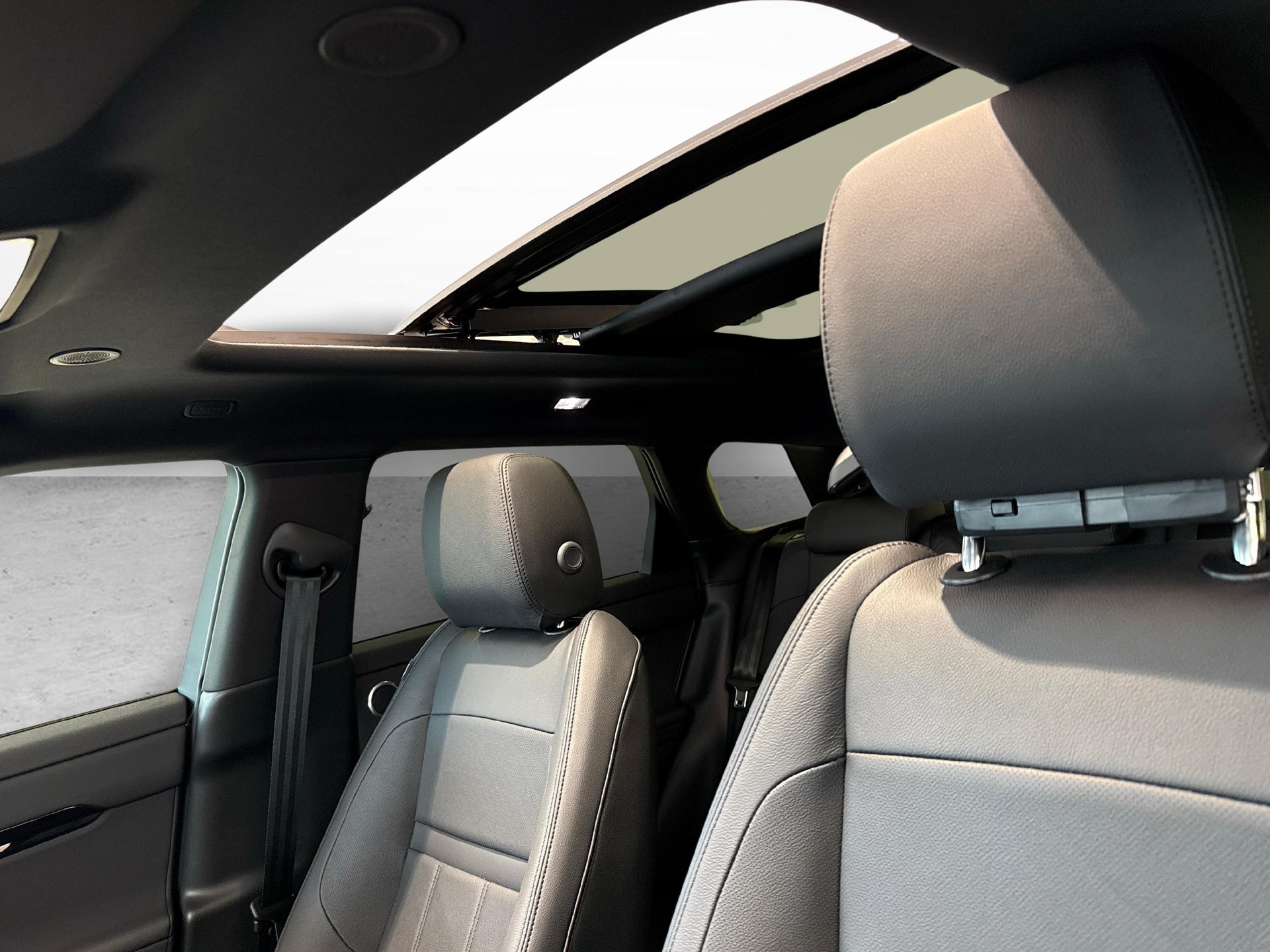 LAND ROVER Range Rover Evoque 1.5 T 270e Dynamic SE-image-15