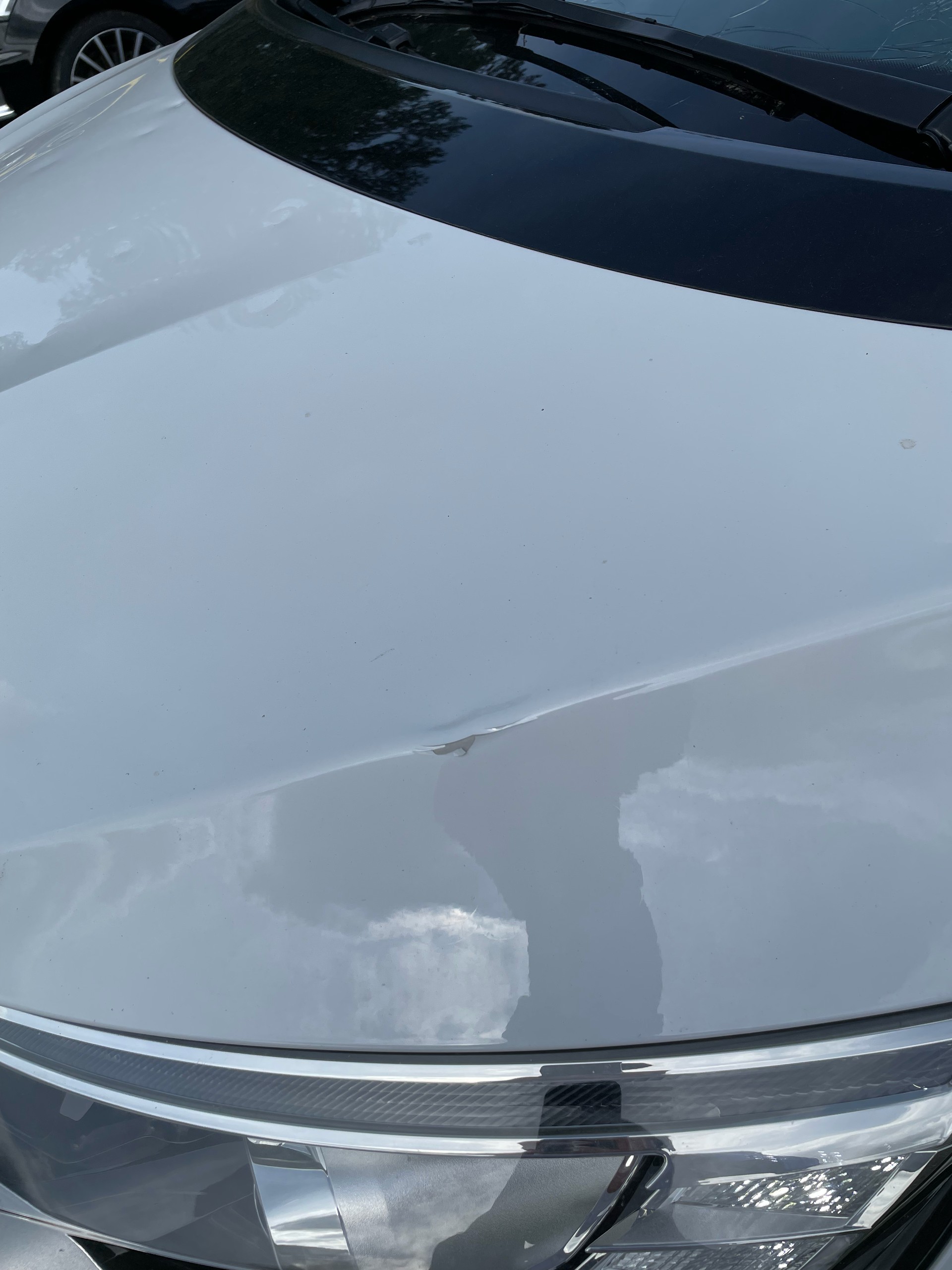 RENAULT Grand Scénic 1.8 dCi Business Line EDC-image-19