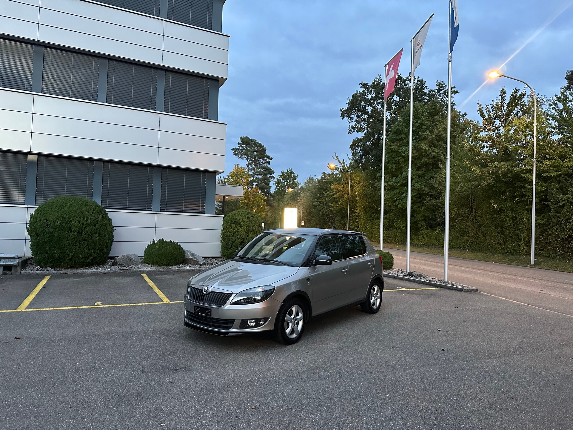 SKODA Fabia 1.2 TSI Monte Carlo DSG-image-15