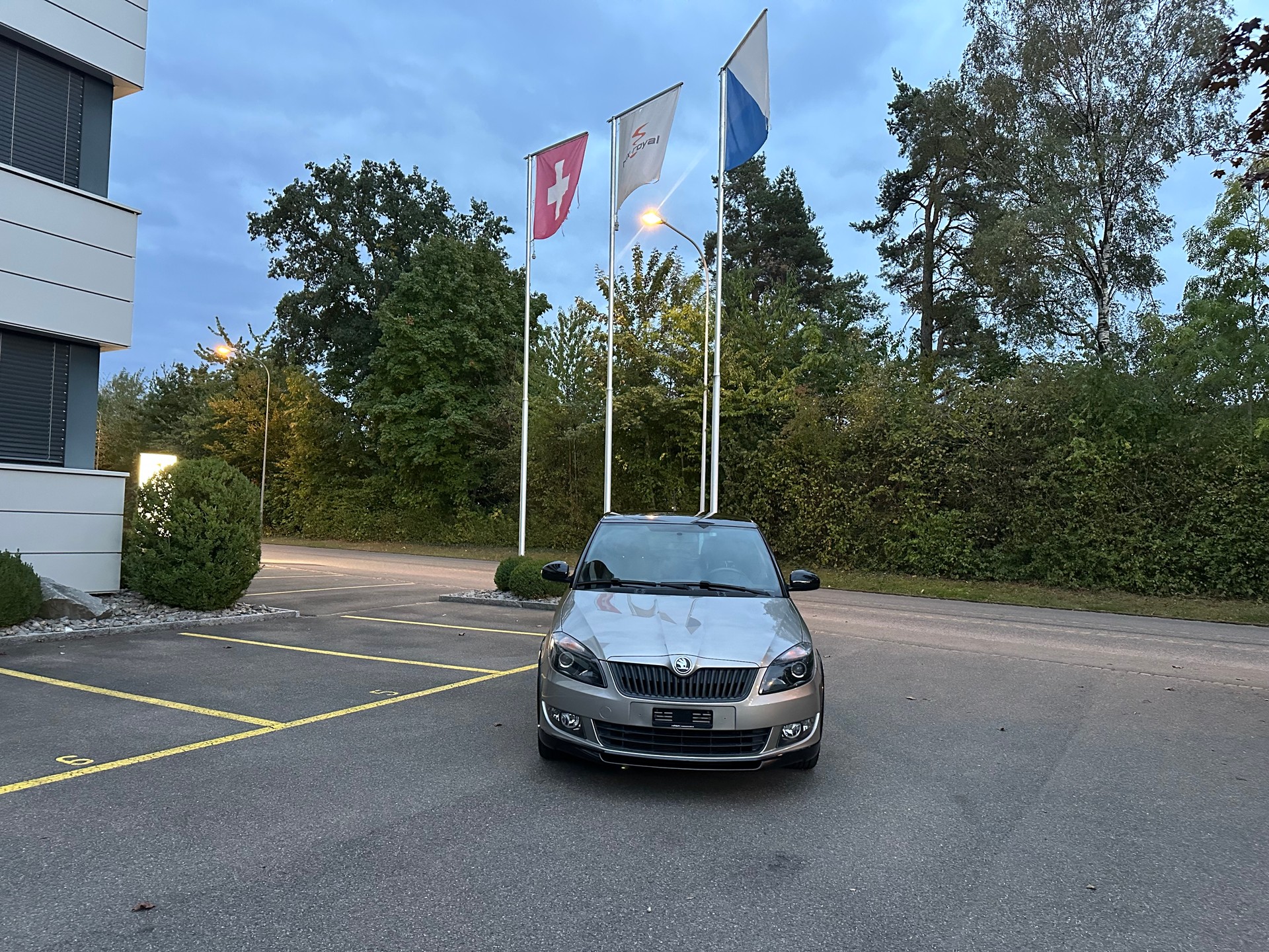 SKODA Fabia 1.2 TSI Monte Carlo DSG-image-6