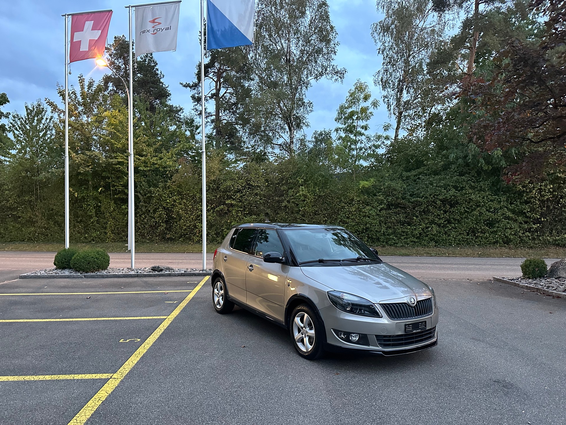 SKODA Fabia 1.2 TSI Monte Carlo DSG-image-2