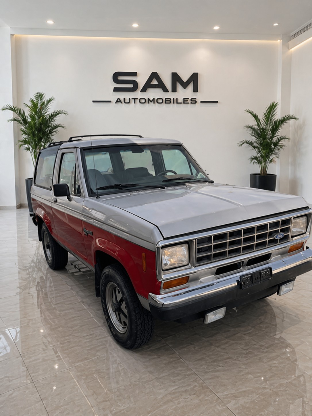 FORD Bronco 2.9 XLT-image-1
