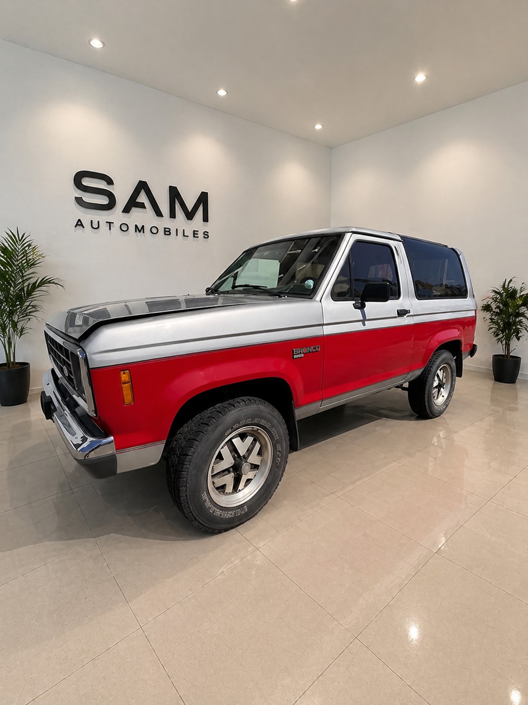 FORD Bronco 2.9 XLT-image-6