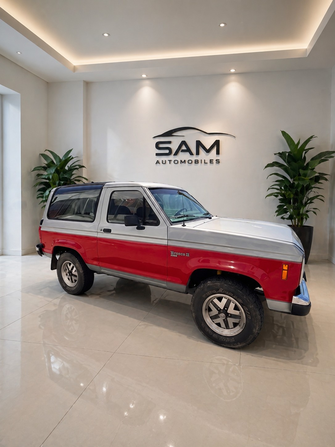 FORD Bronco 2.9 XLT-image-2